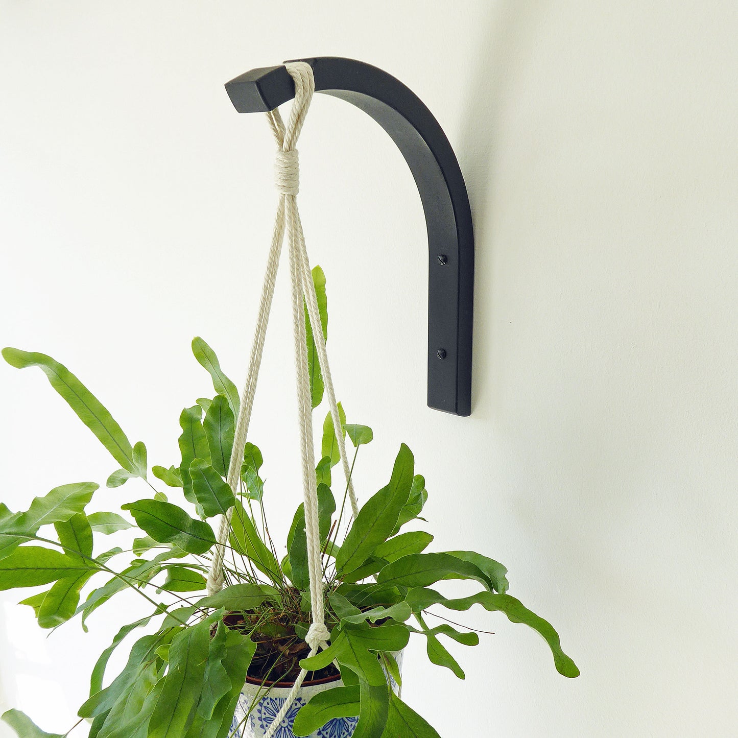 lack houseplant wall hook for trailing plants