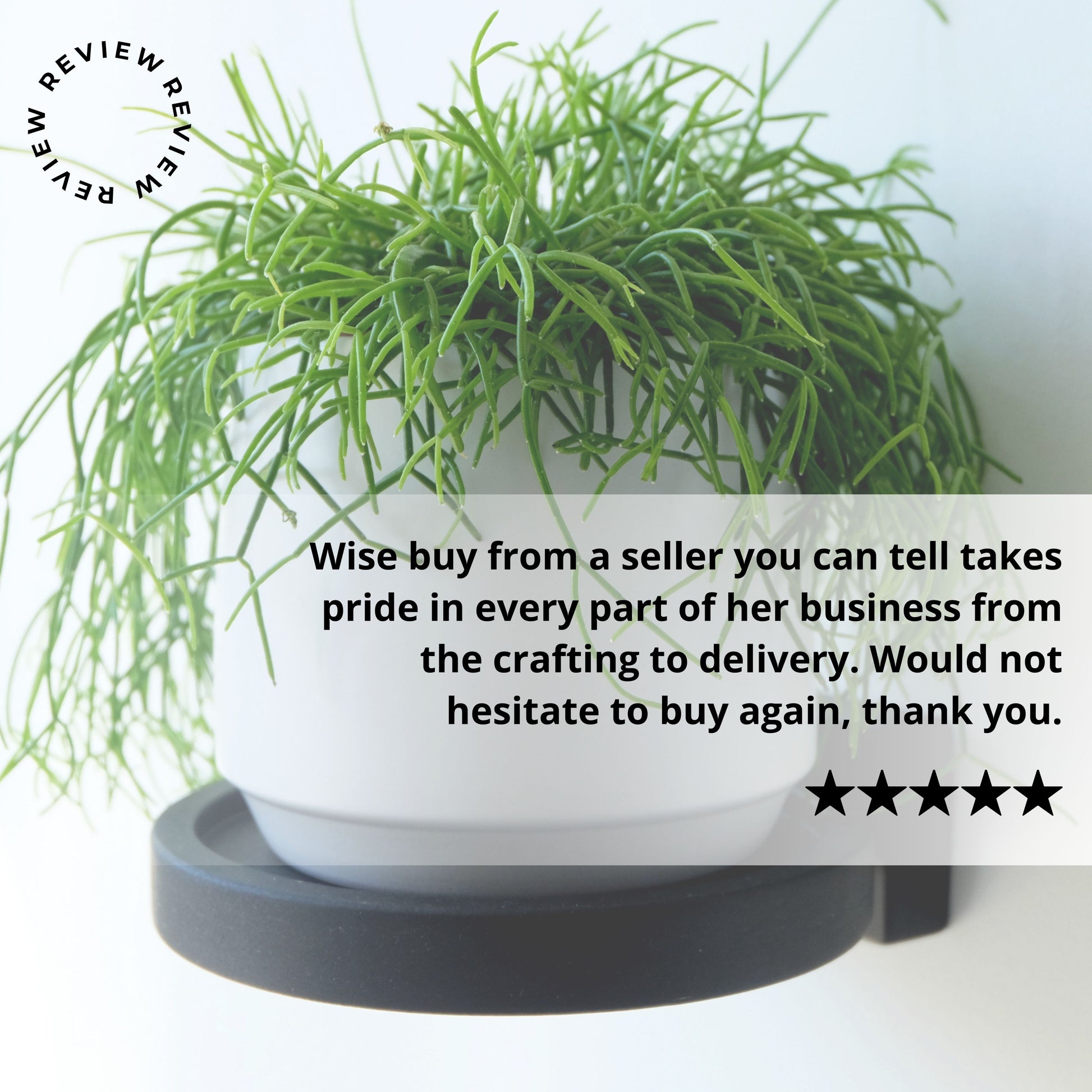 Review of the display shelf with 5 stars