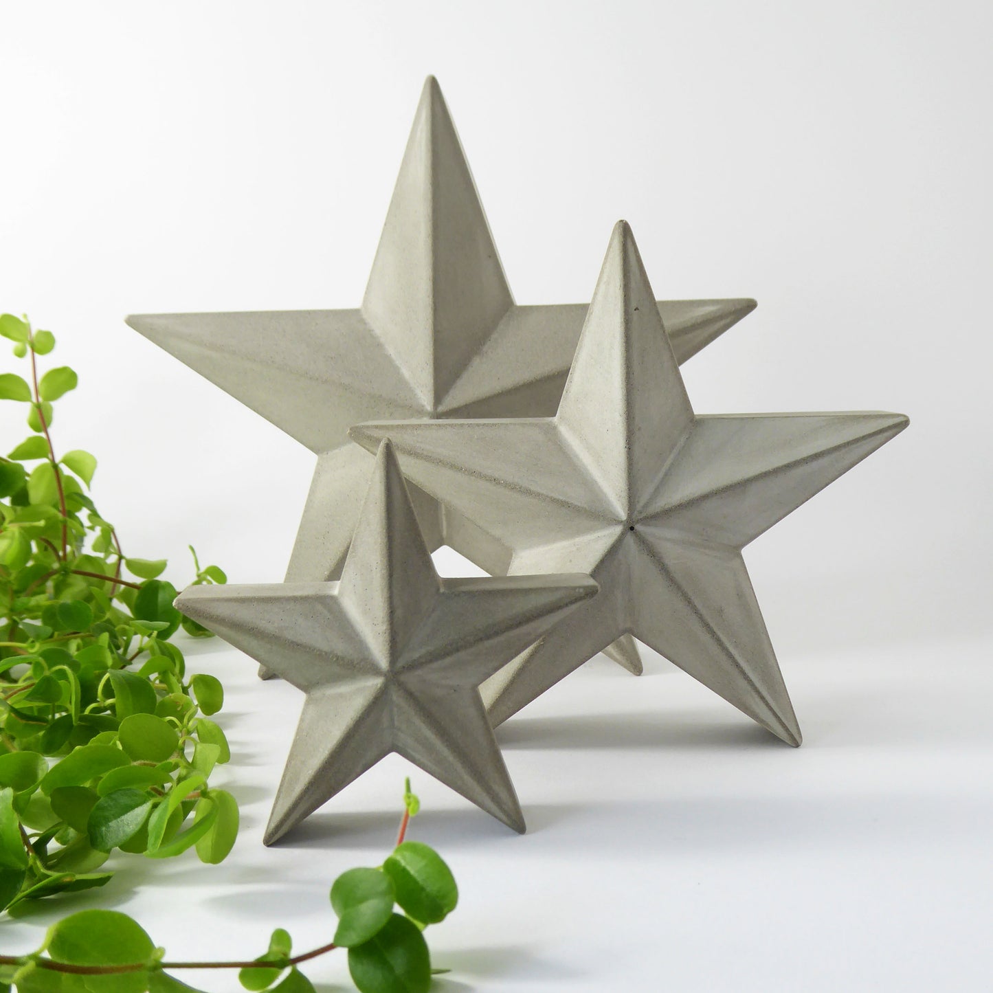 Three concrete star-shaped decorations on a white surface with a green plant.