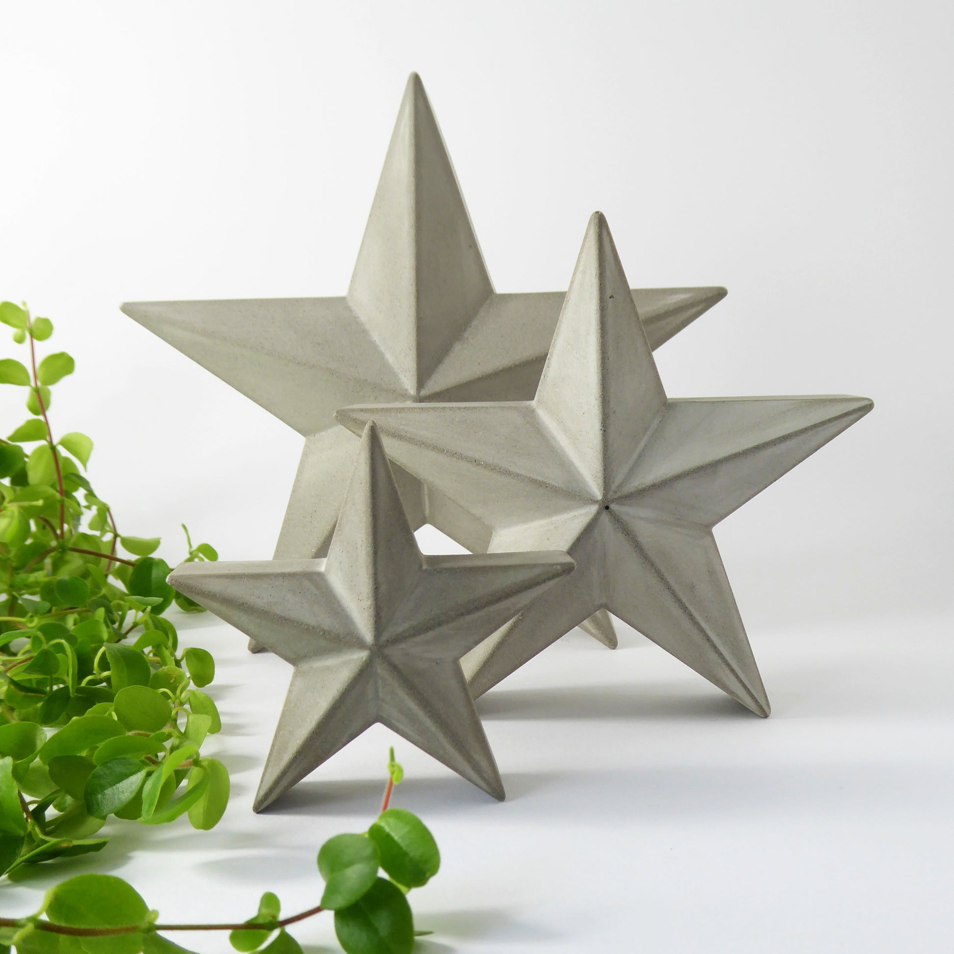 Three concrete star-shaped decorations on a white surface with a green plant.