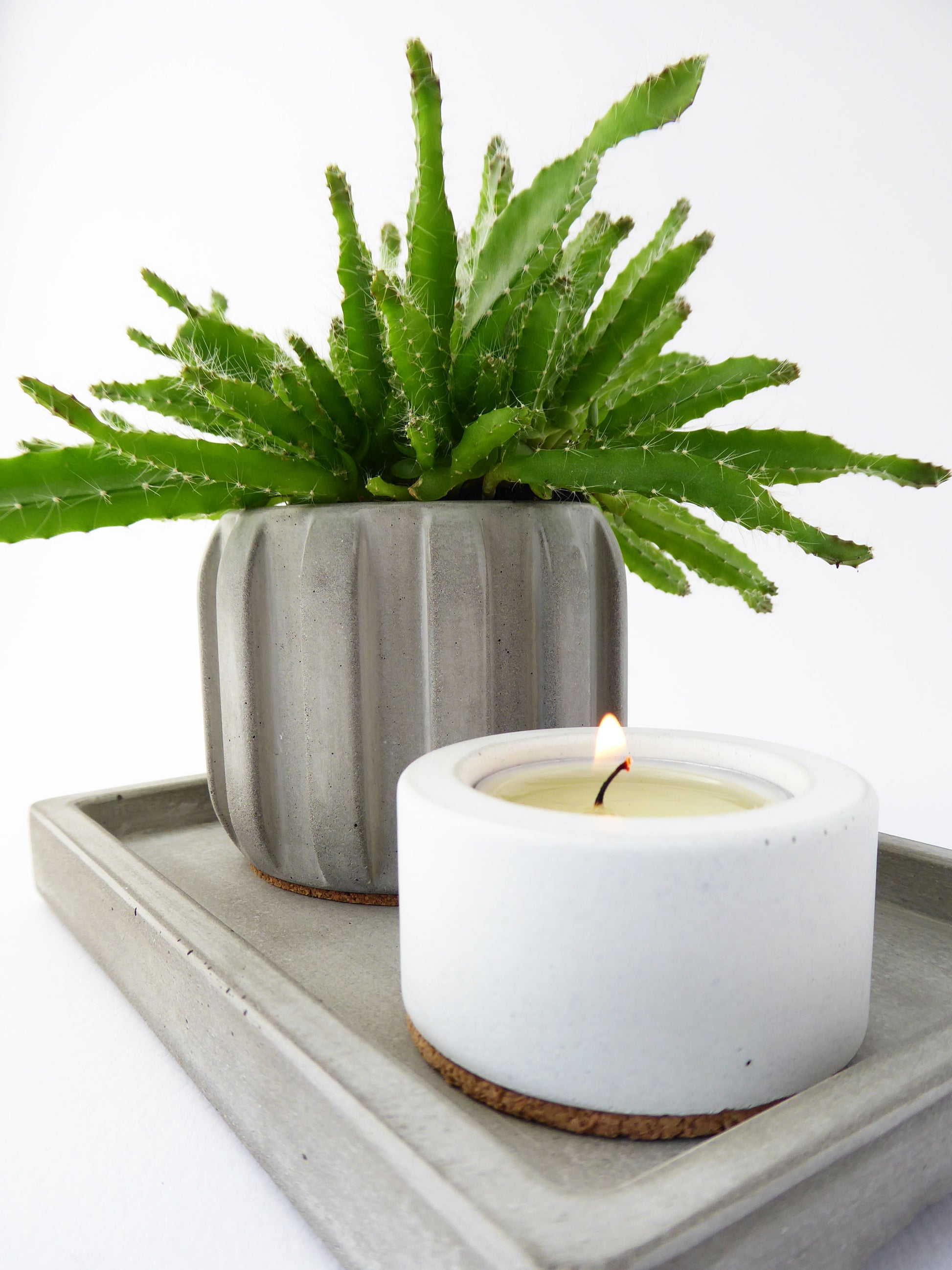 White candle holder with a lit tea light next to a grey concrete planter with a ribbed design and succulent on a white background.