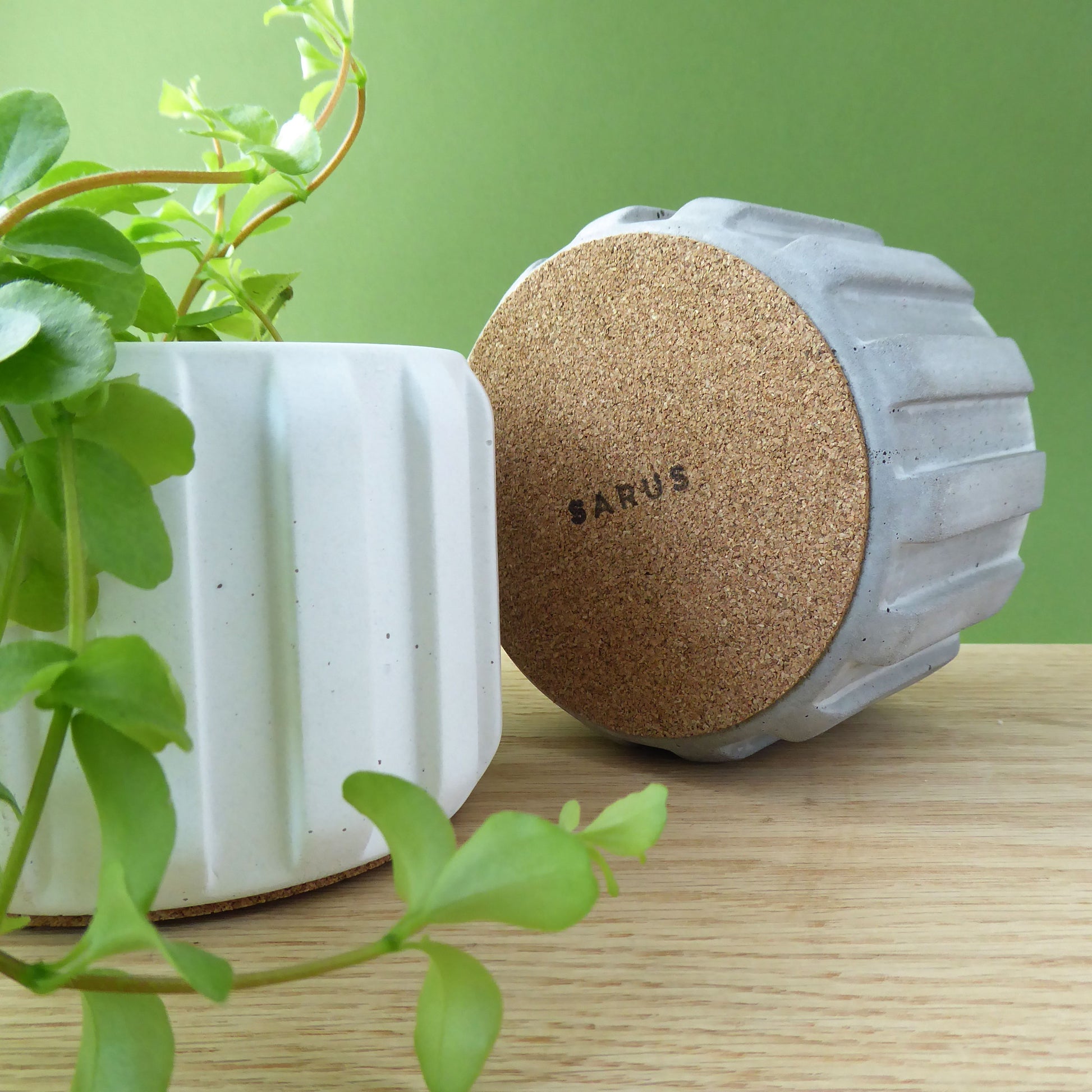 White plant pot and trailing houseplant and a second pot showing the logo stamped cork base to protect surfaces.