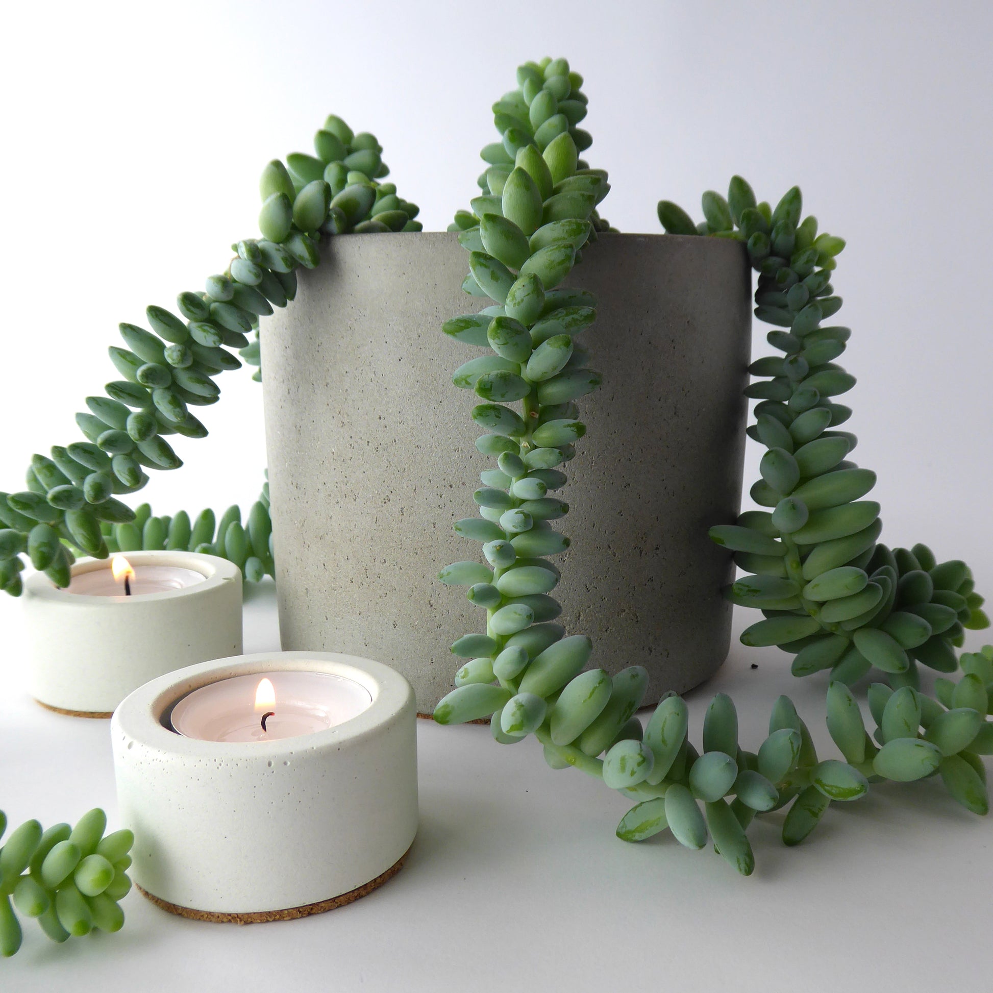 A medium-sized concrete planter in natural grey color, displayed with greenery and candles for decorative purposes.