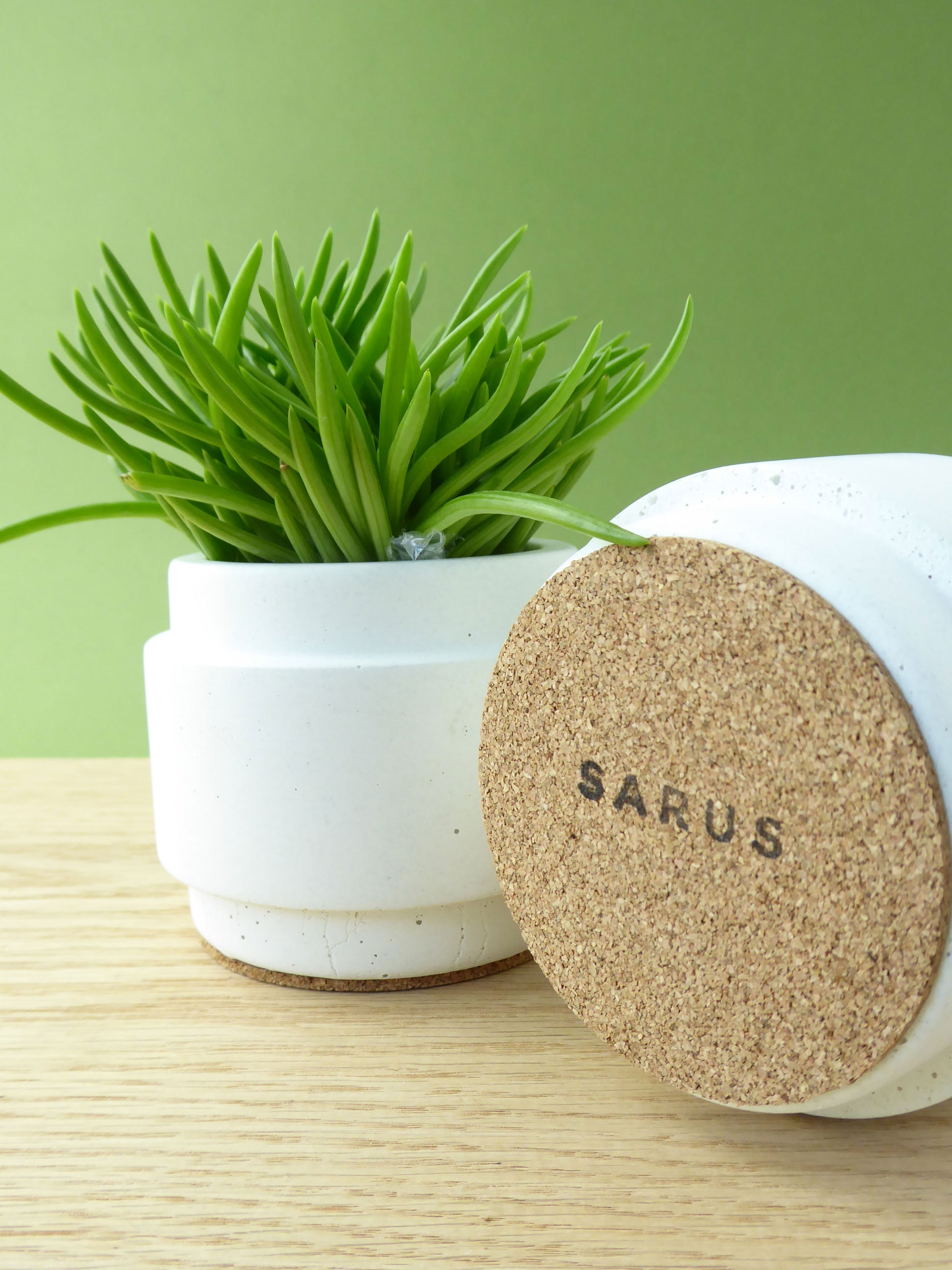 White plant pot with green houseplant next to another planter showing the cork base.