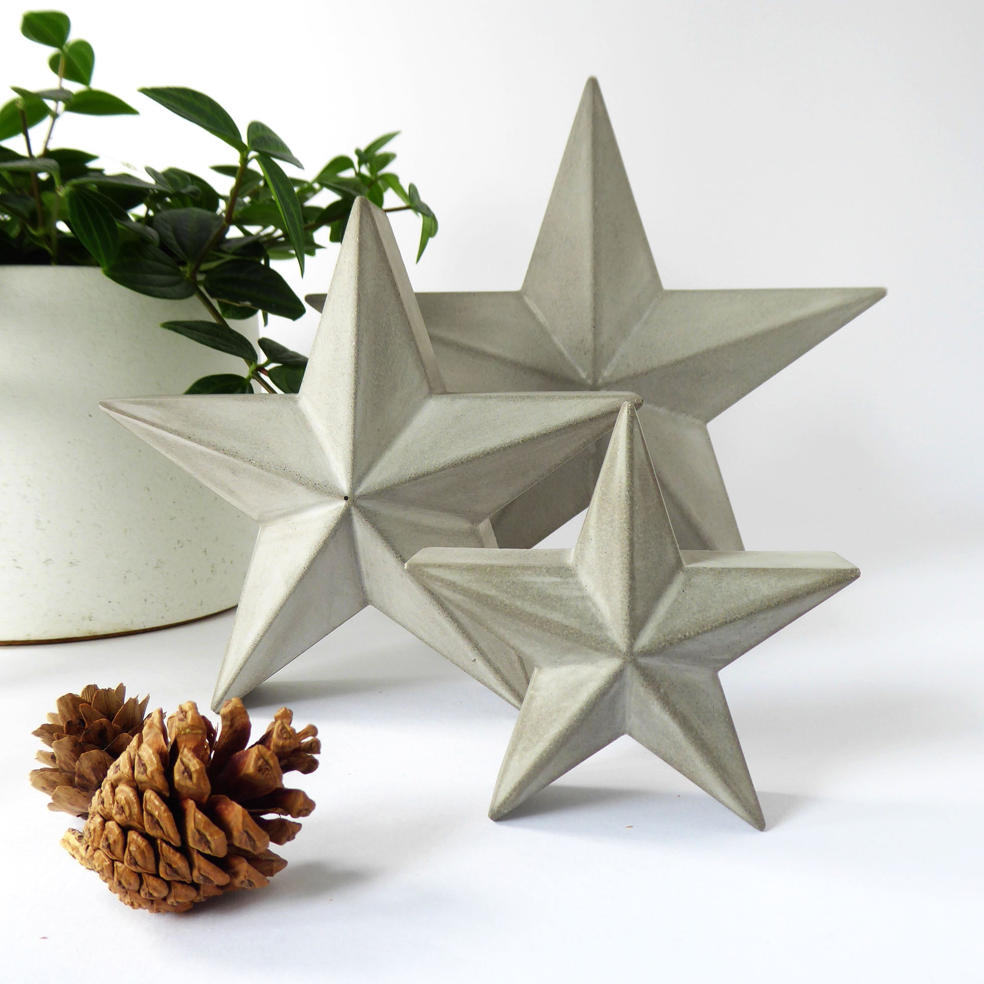 Three star-shaped grey concrete barn star ornaments on a white surface with a plant and festive pine cones in the foreground.