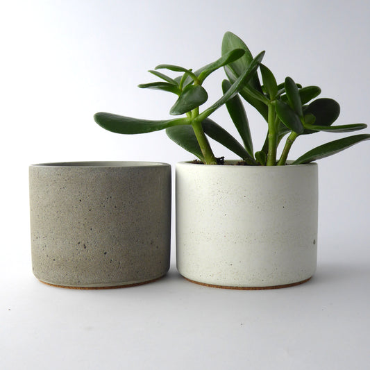 Two hand-poured concrete plant pots, one natural grey and one white, with a succulent plant in the grey pot, placed on a white surface.
