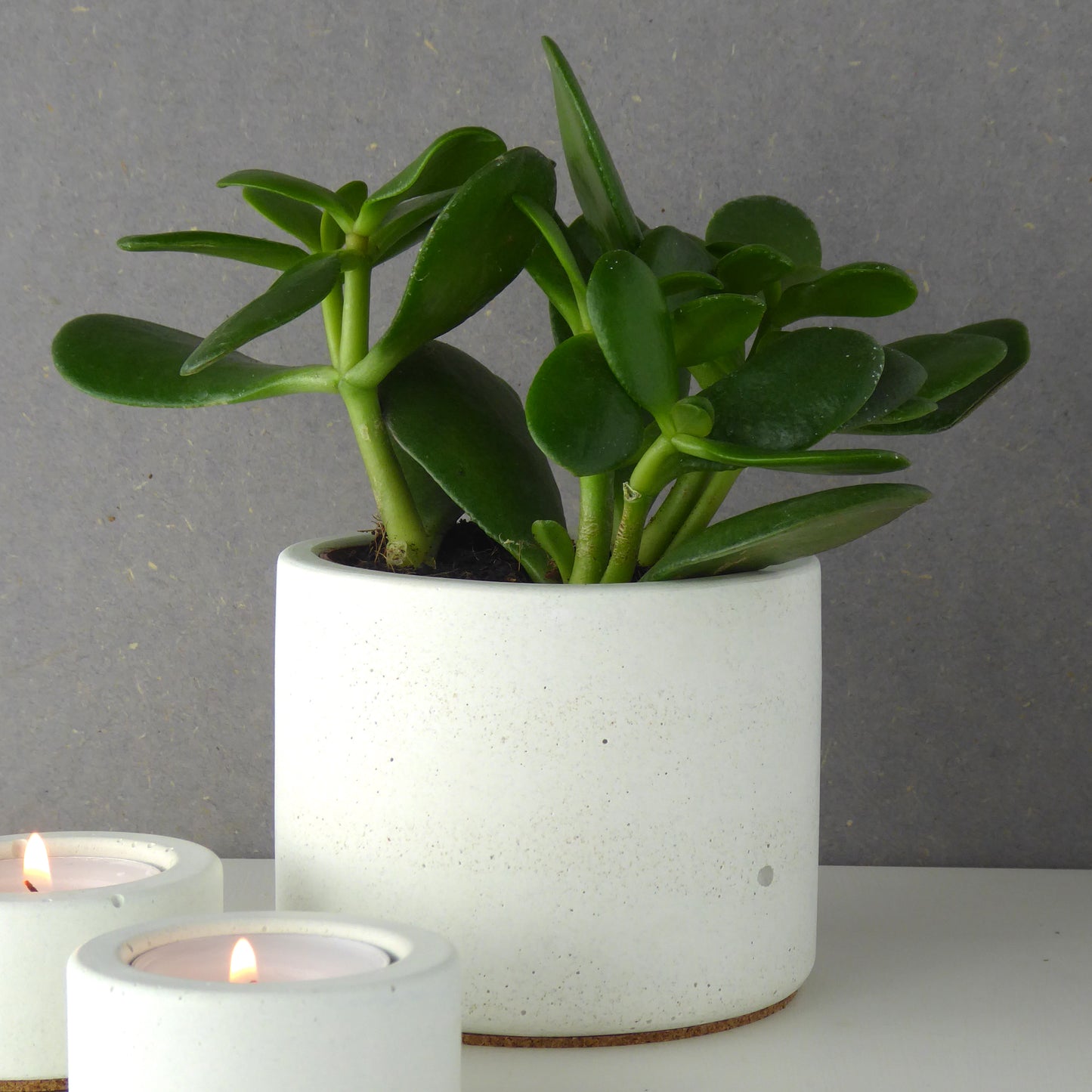 White concrete plant pot with a succulent next to concrete candle holders