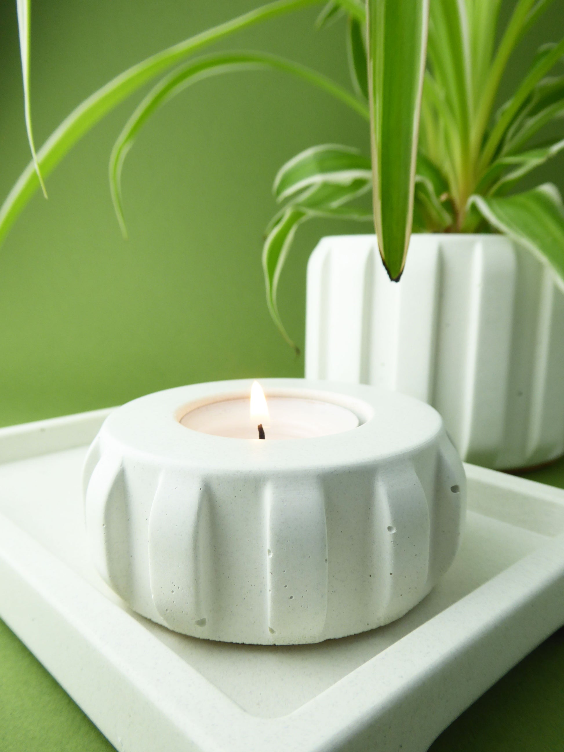 Modern white concrete candle holder with a lit candle on a white concrete tray with a spider plant in the background.
