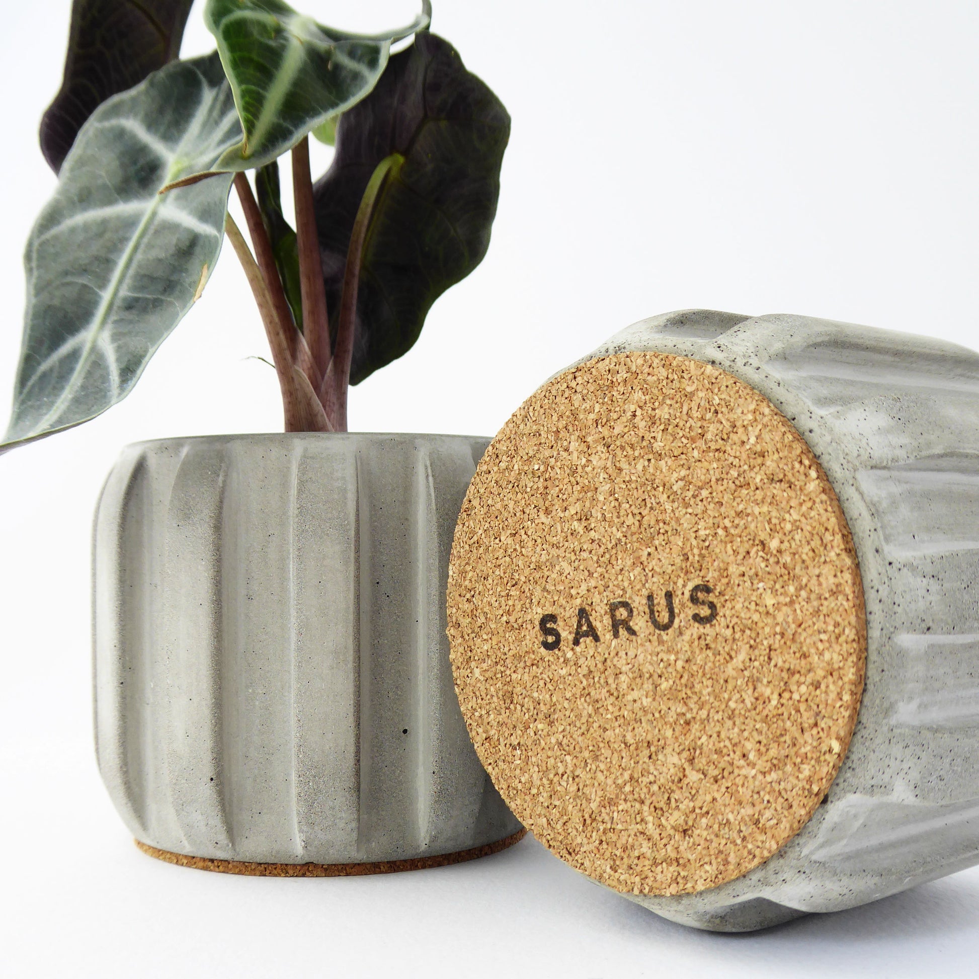 Grey concrete planter and houseplant next to a plant pot showing the cork base to protect surfaces.