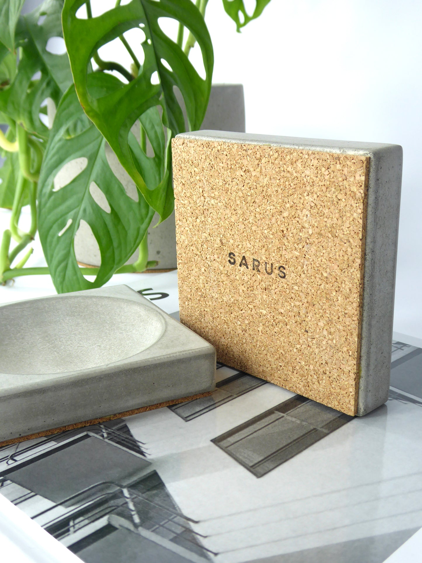 grey concrete trinket tray with a cork base on a book with a plant in the background