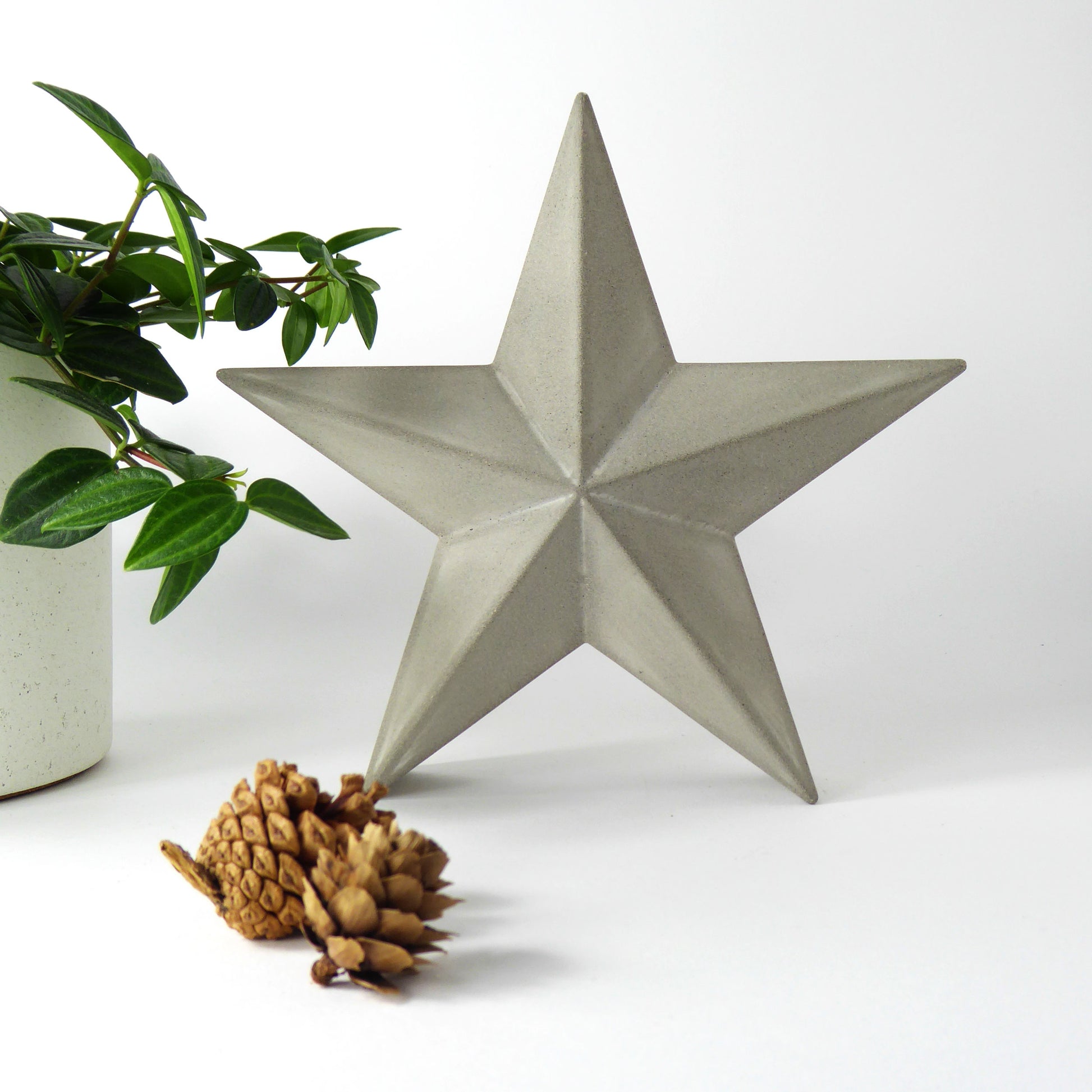 Large grey concrete decorative star with a plant and pinecones on a white background