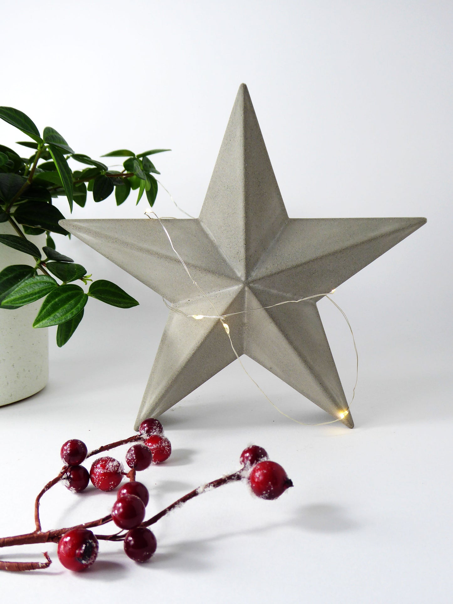 Decorative star with string lights on a white surface next to a plant and Christmas red berries.