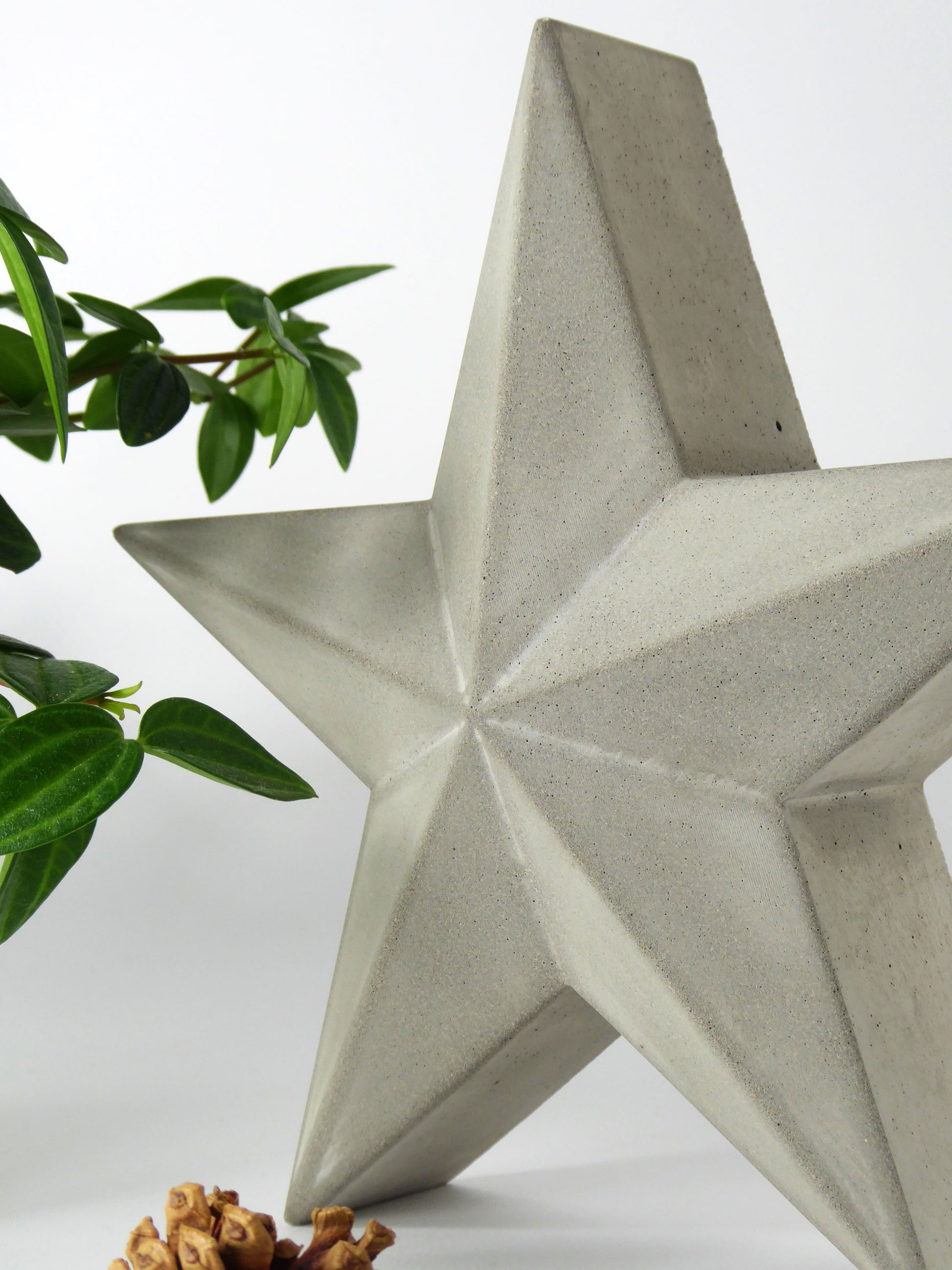 Concrete star-shaped ornament with a plant in the background