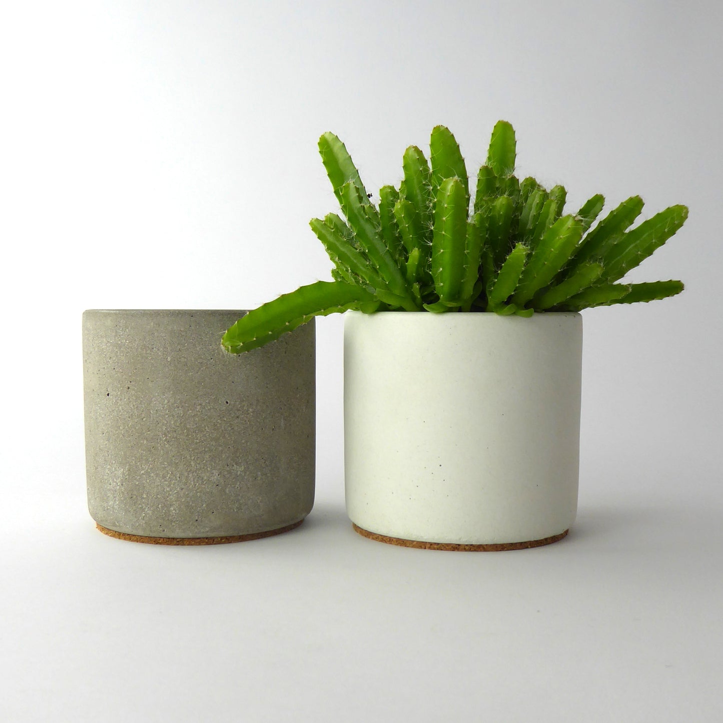 White and grey concrete plant pots