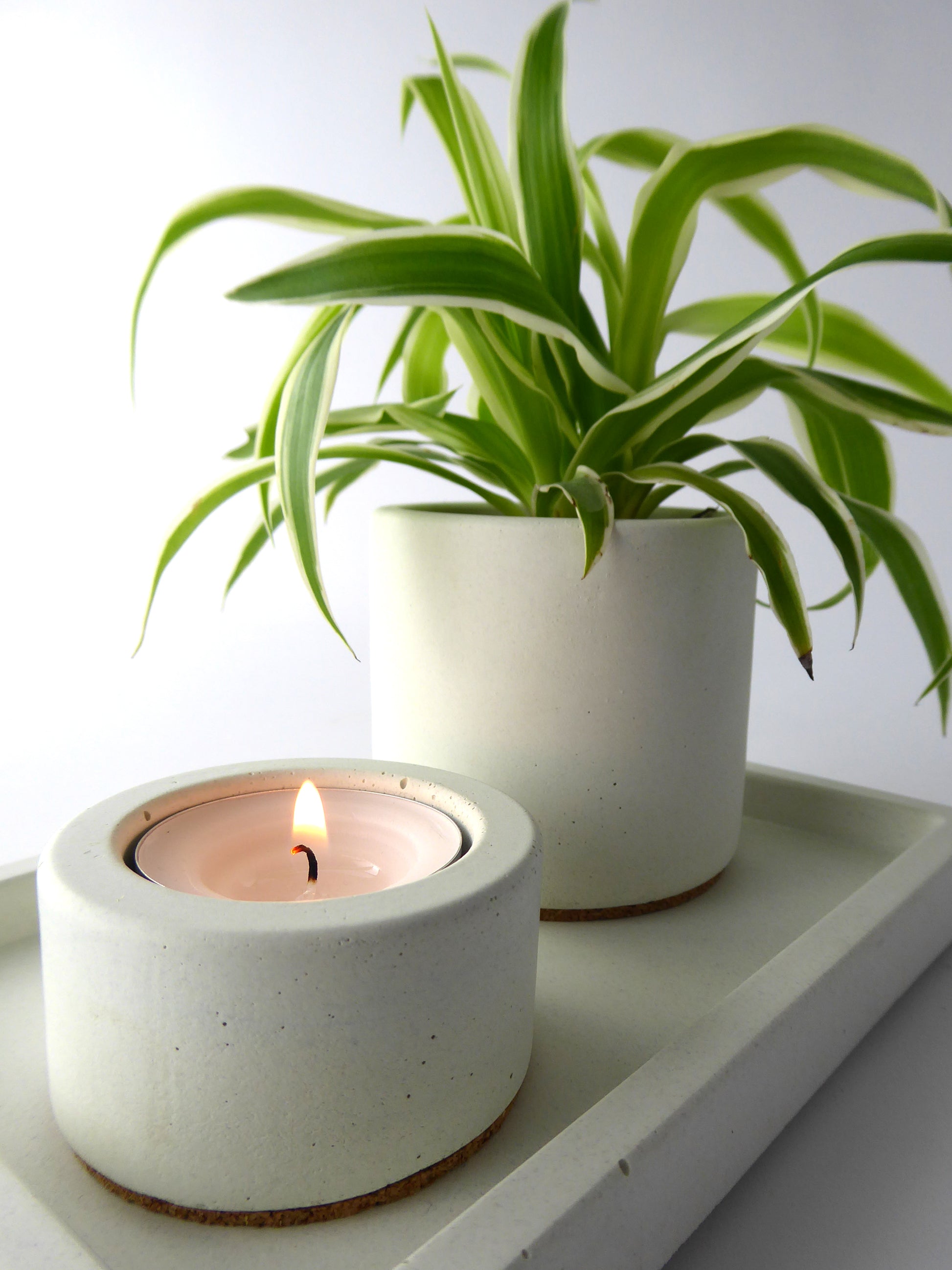 white concrete plant pot with a spider plant next to a candle holder on a matching white concrete tray