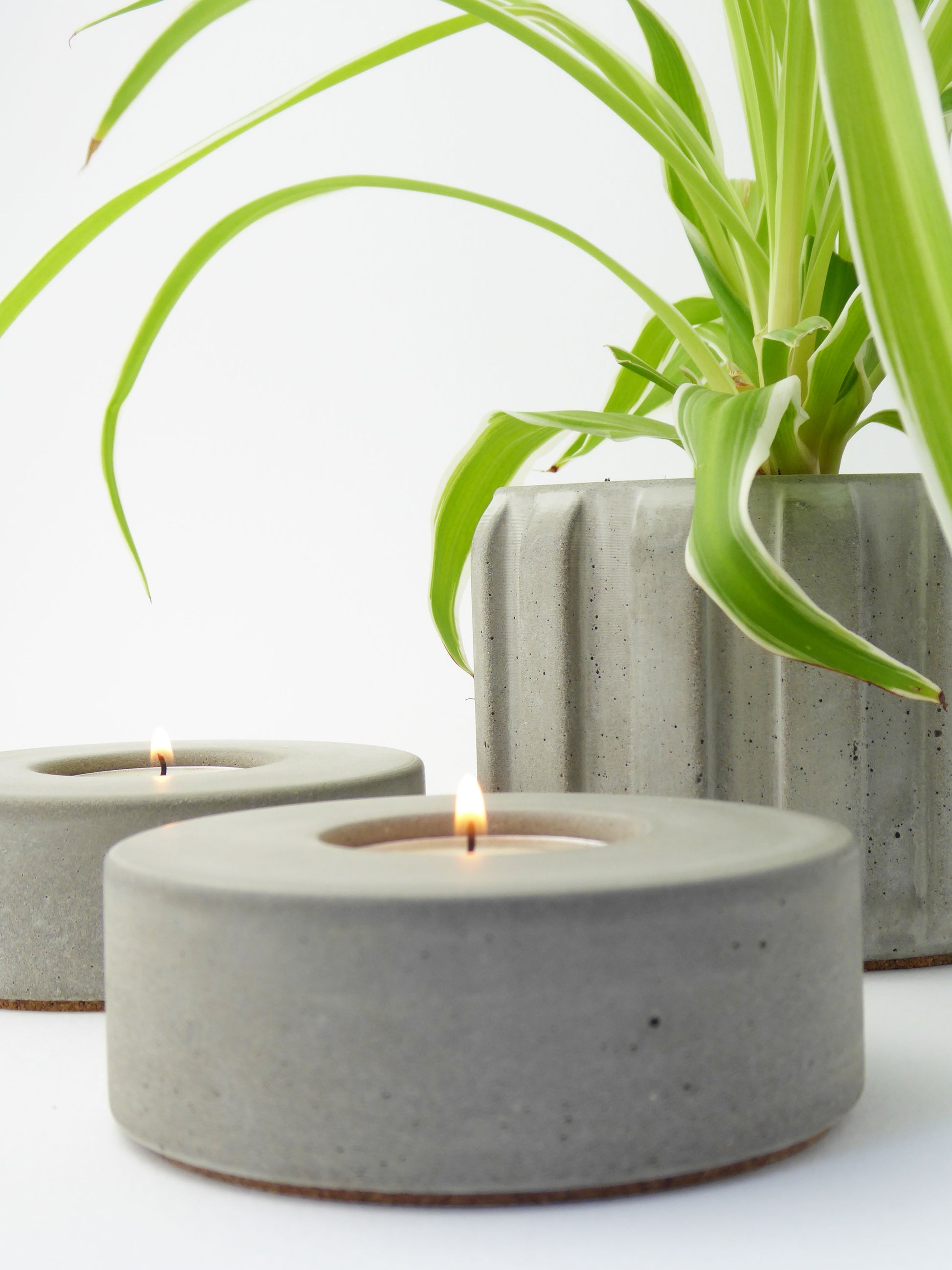 Pair of natural concrete candle holders with lit candles next to a spier plant