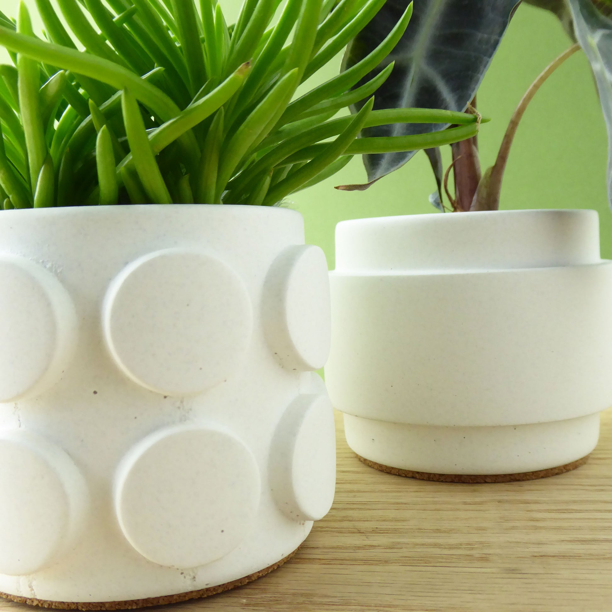 Two white ceramic plant pots with small succulent plants on a wooden shelf.