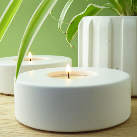 Two white tea lights in white concrete holders with a spider plant in the background