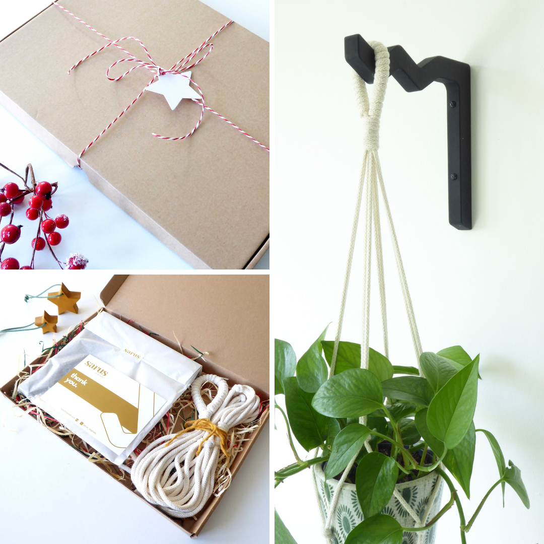 indoor plant gift set