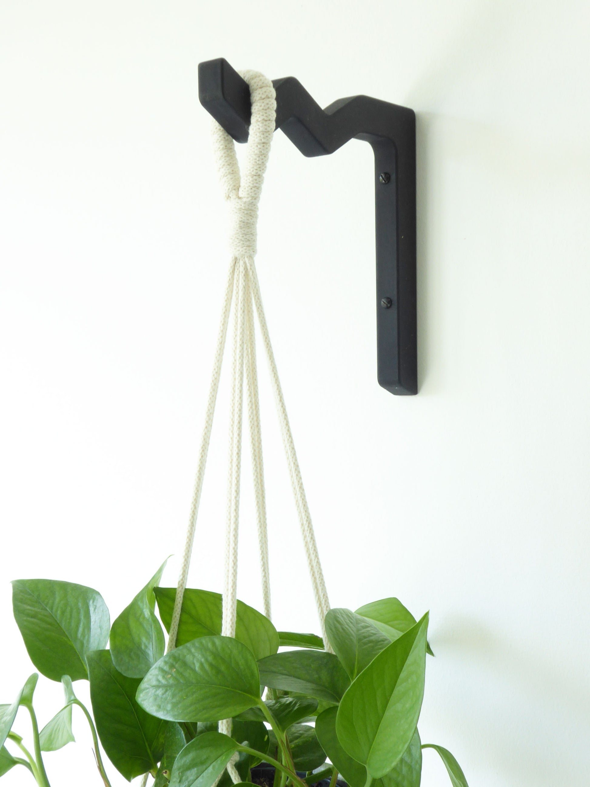 Wall mounted plant bracket in black wood on a white wall with a macramé plant hanger and a trailing houseplant.