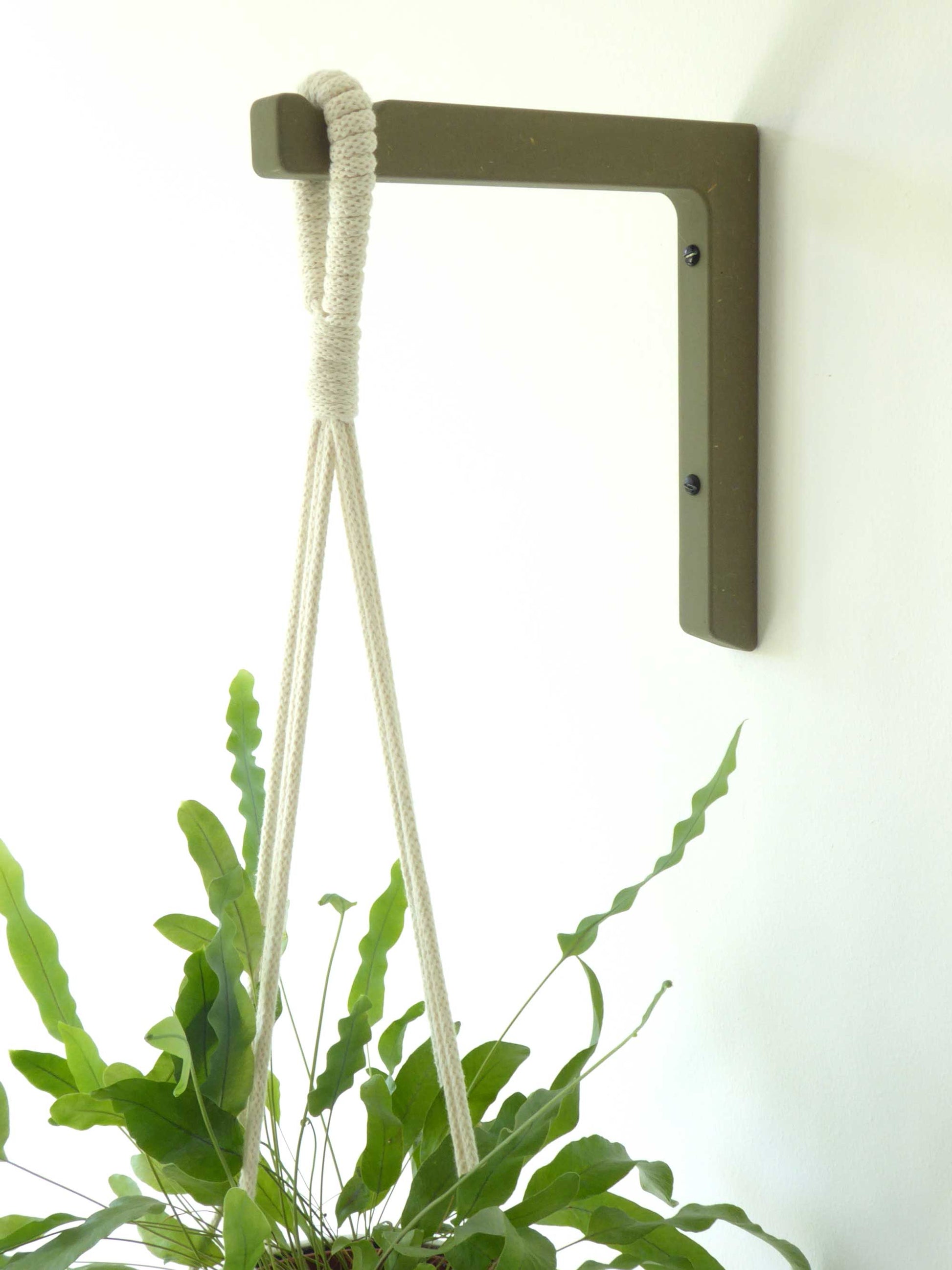 Neutral colour sage plant bracket which is mounted to the all with 2 screws supporting a macrame plant hanger and a trailing houseplant