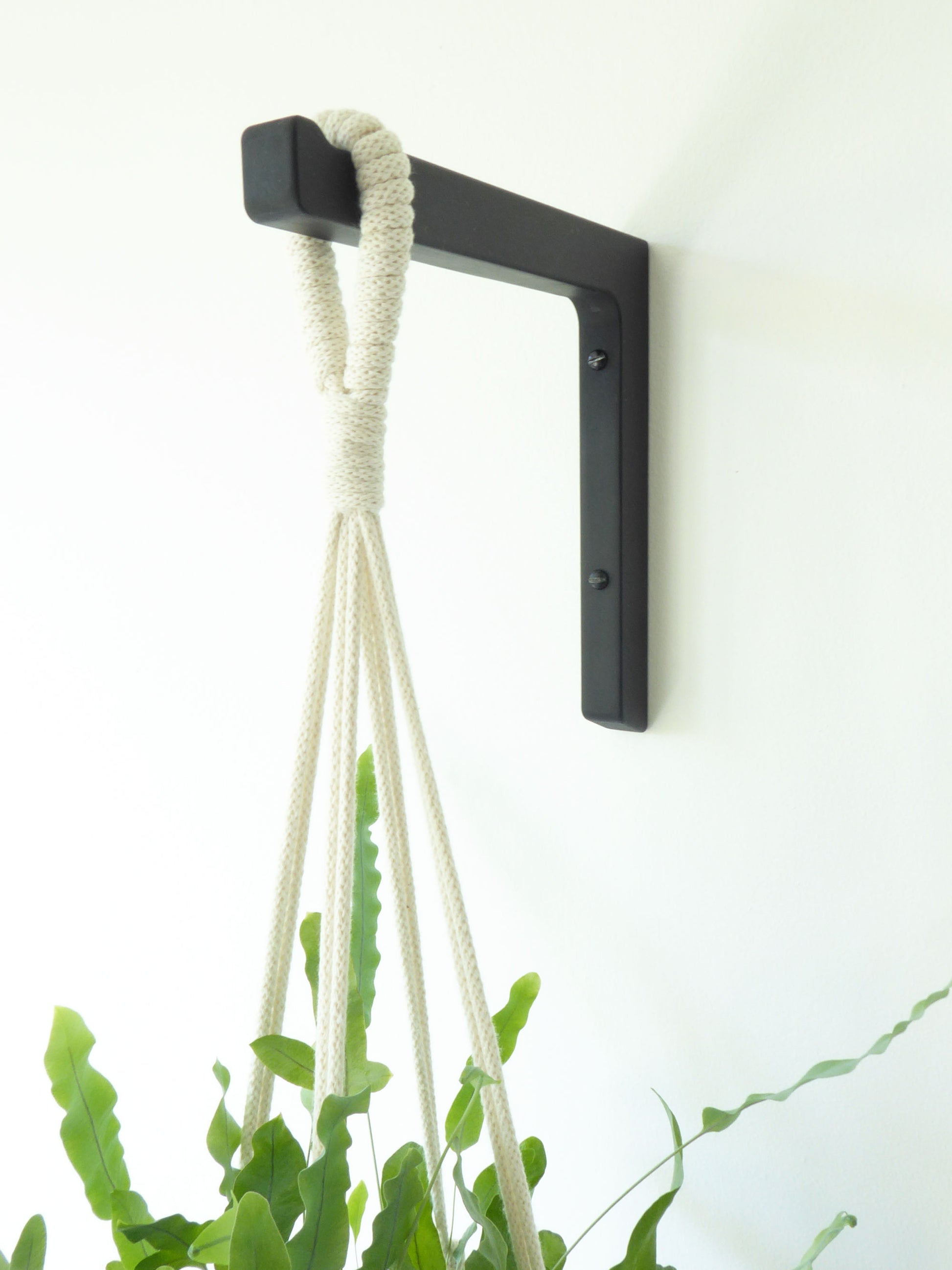 Black plant hook mounted on a white wall with 2 screws and hung from it is a rope macrame hanger and an elevrated houseplant