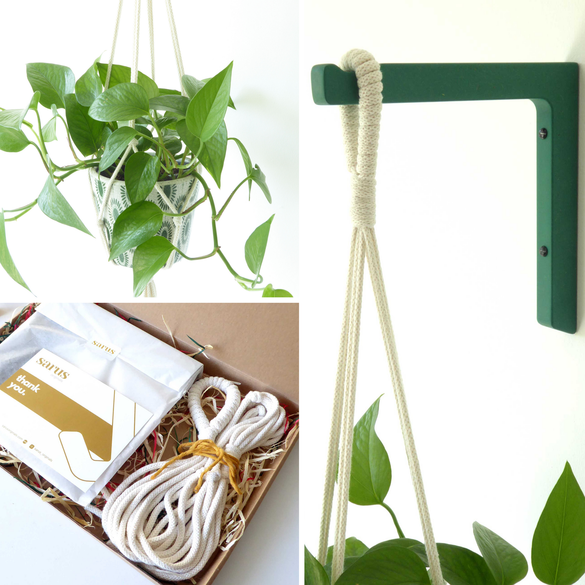 A gift set comprising a handmade macrame hanger together with a wood wall mounted plant hook  presented together in a gift box where the items are tissue wrapped and beautifully presented