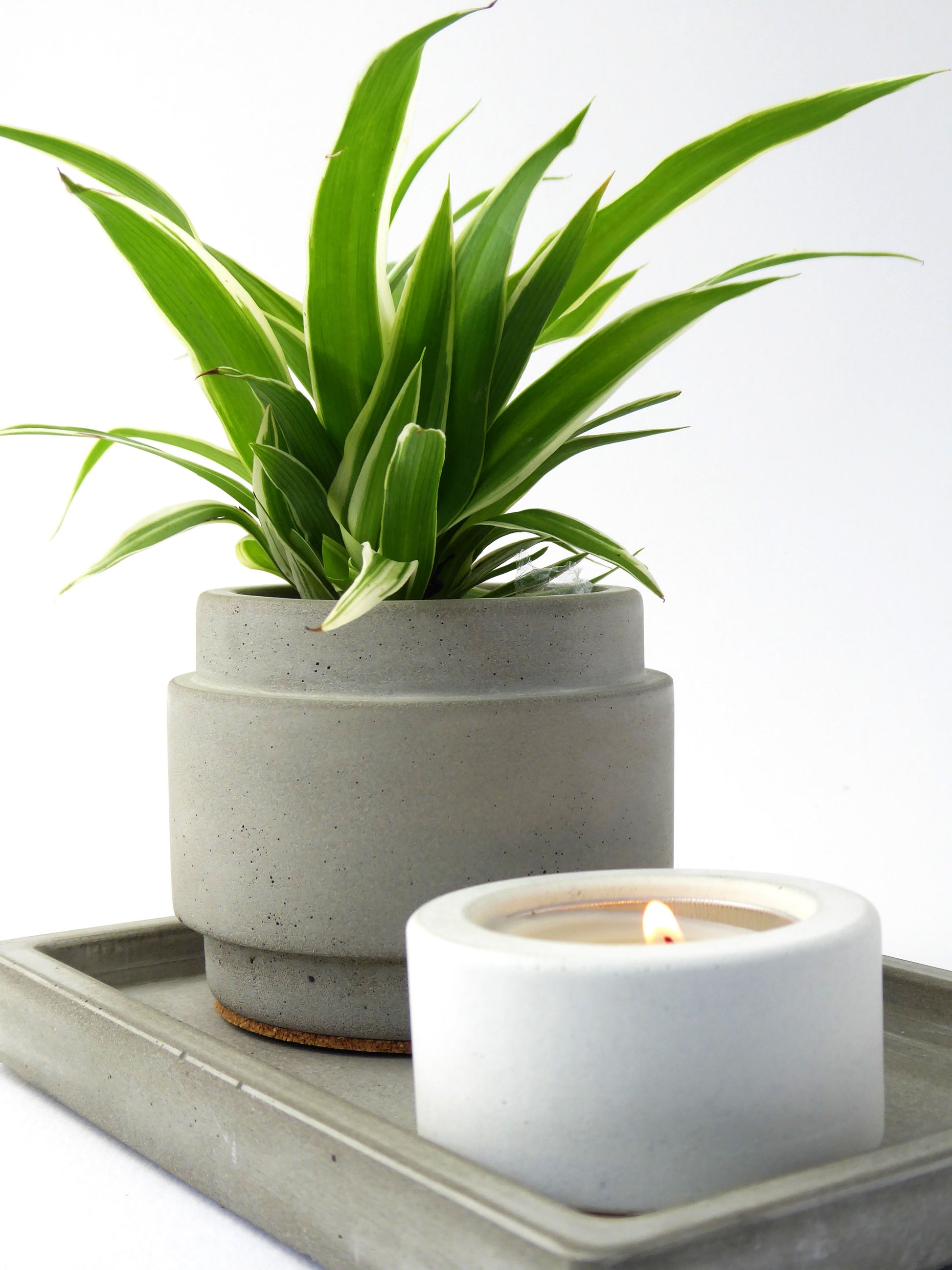 Concrete planter with a spider plant and a small white candle on a matching grey concrete tray against a white background.