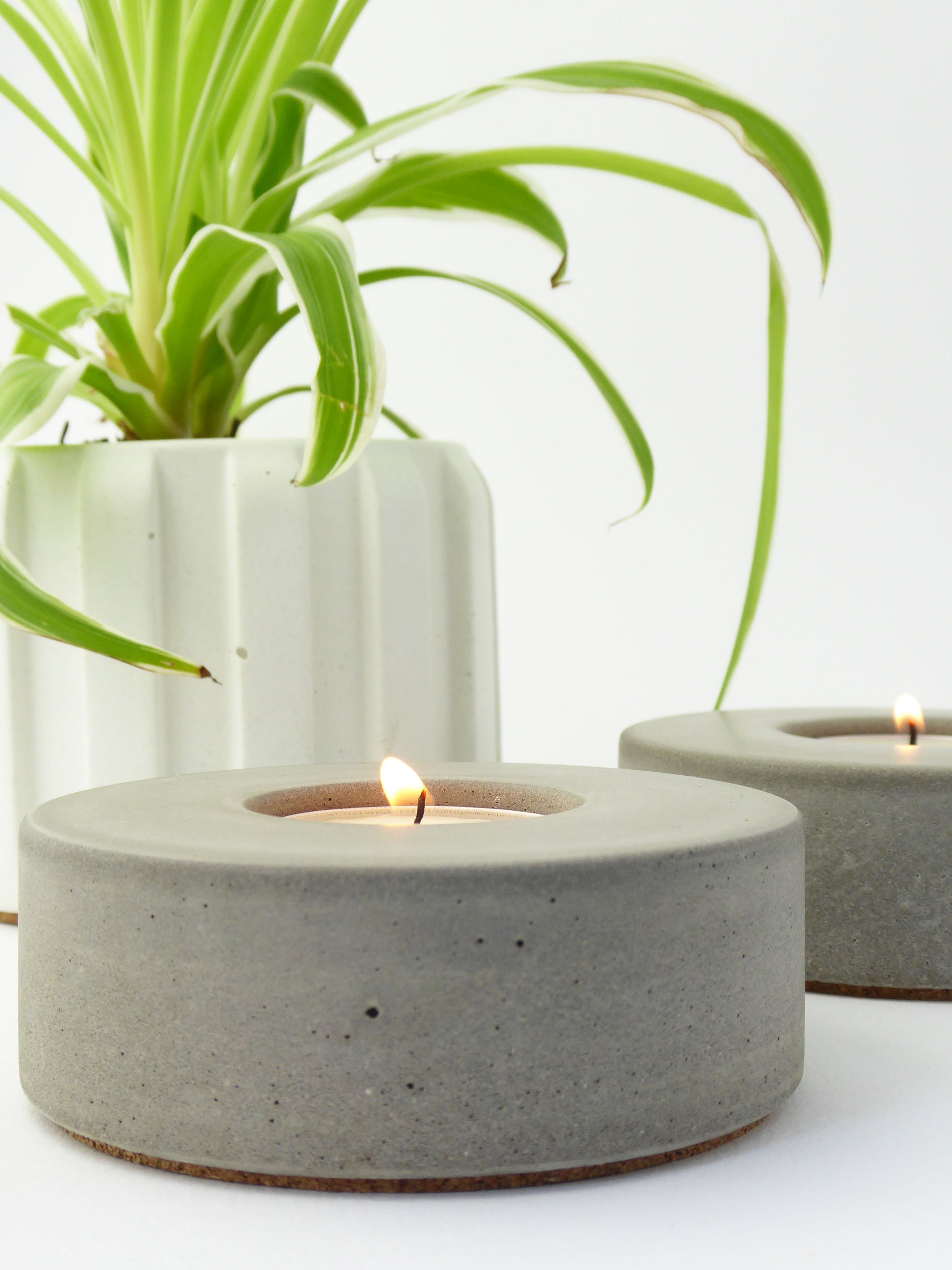 Contemporary concrete candle holders with lit candles and a plant in the background
