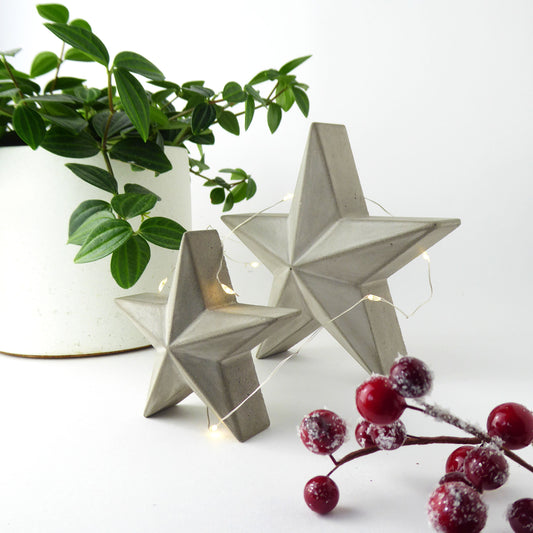 a pair of decorative concrete stars with string lights around them next to a potted plant and red Christmas berries on a white background