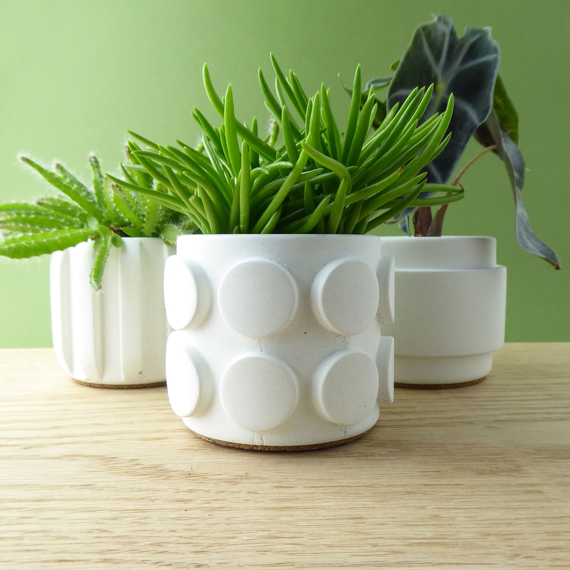 Three white patterned planters with small green plants on a wooden shelf.