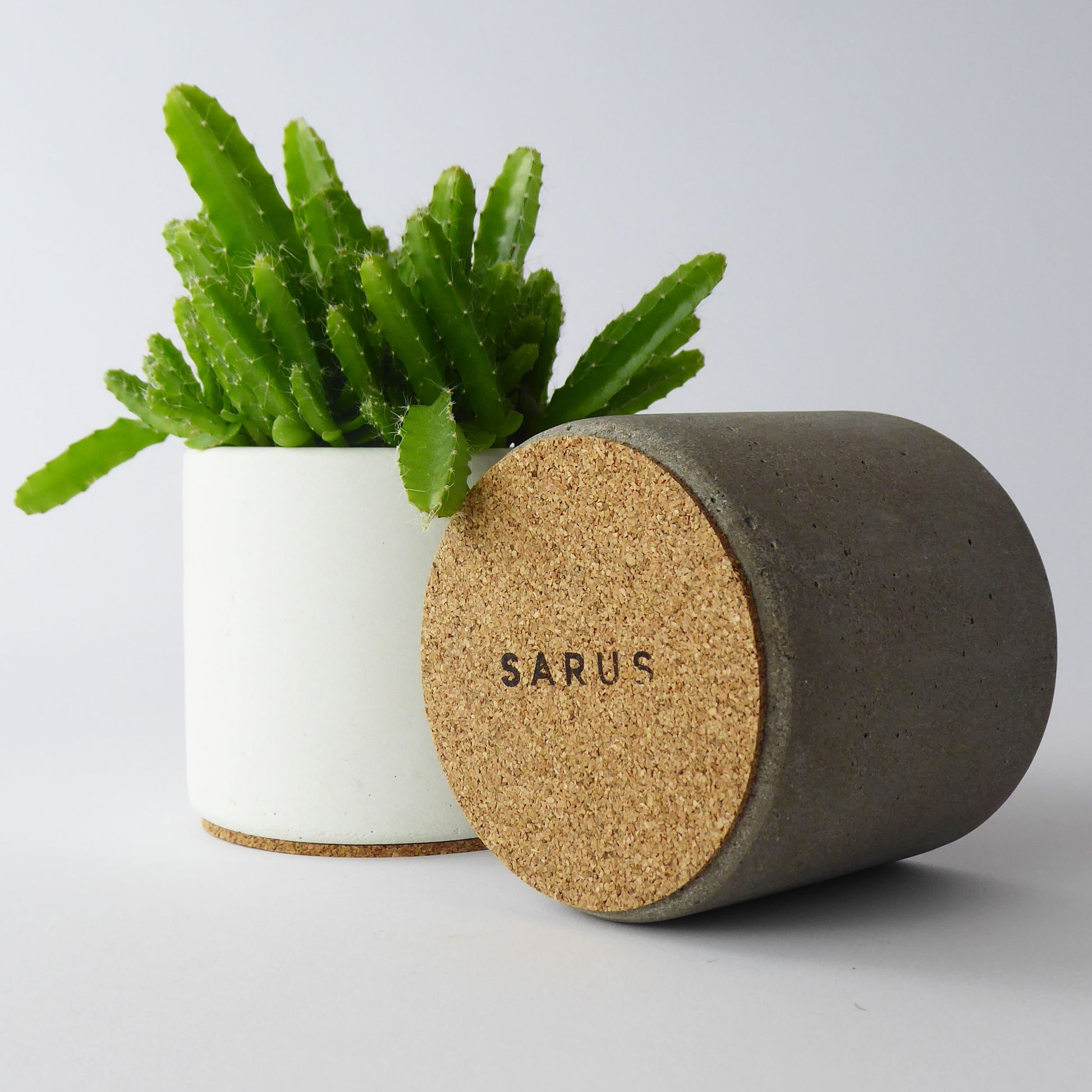 White concrete plant pot with succulent next to another planter showing the cork base with SARUS logo