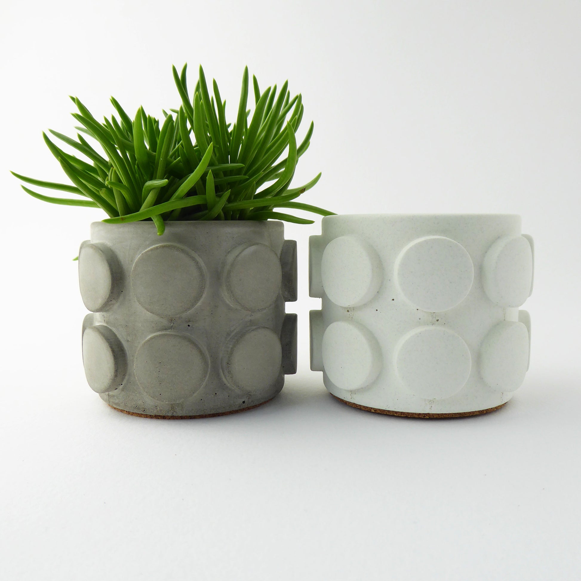 Two textured polka dot ceramic planters with a green plant on a white background