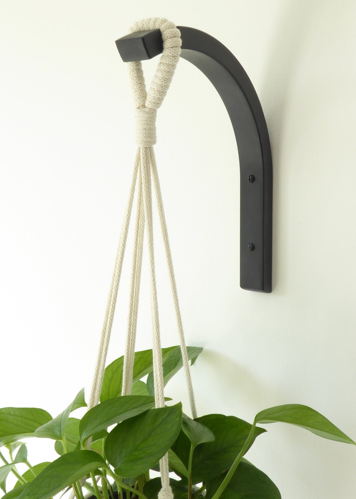 houseplant gift for mum