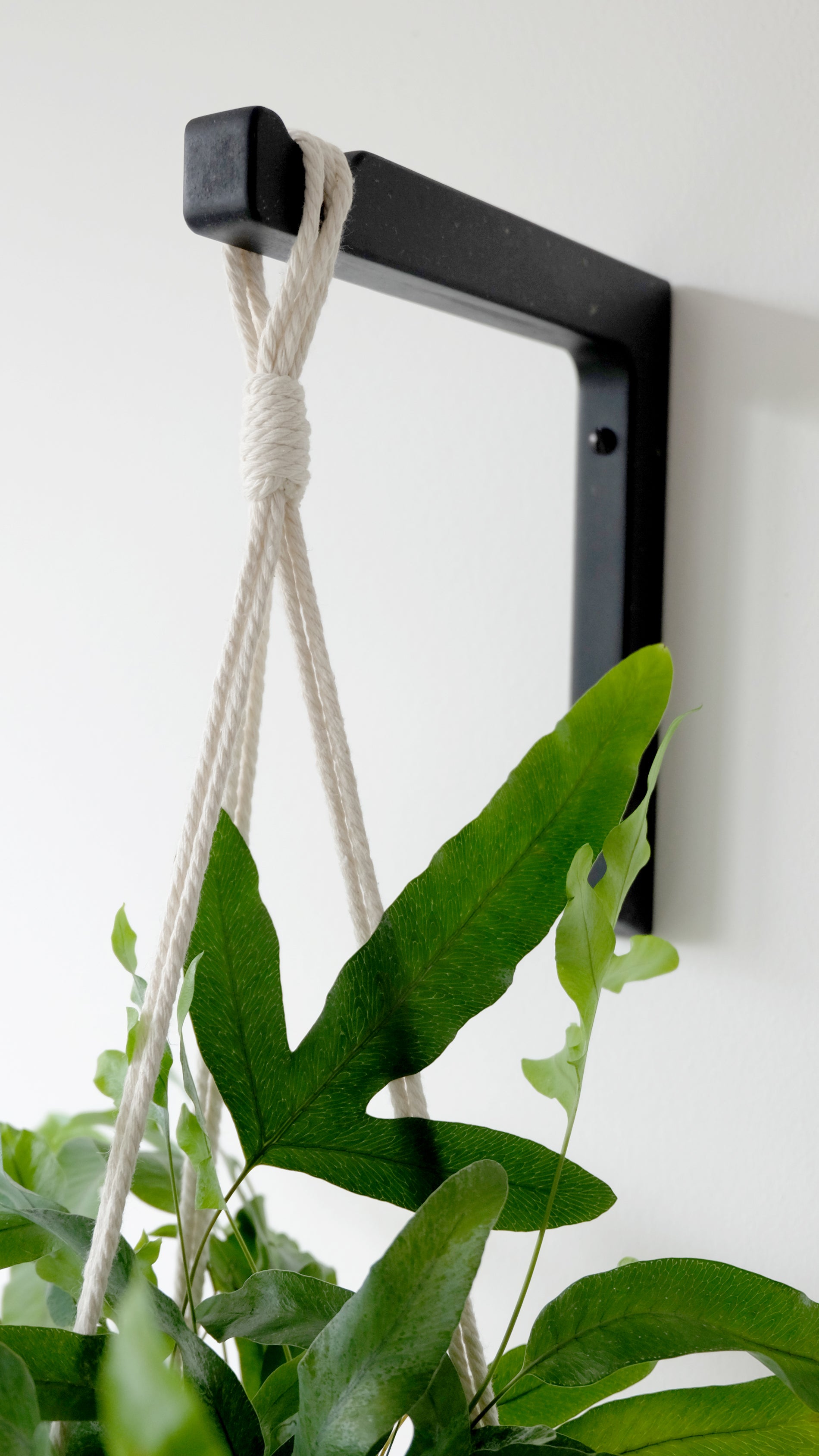 Black wooden wall mounted bracket with a cream macrame hanger and a houseplant hanging from it