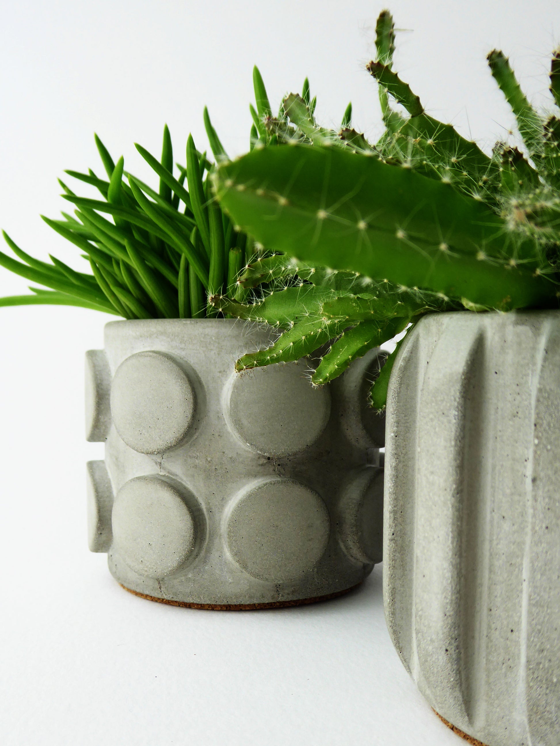 Two gray textured planters with cacti on a white background