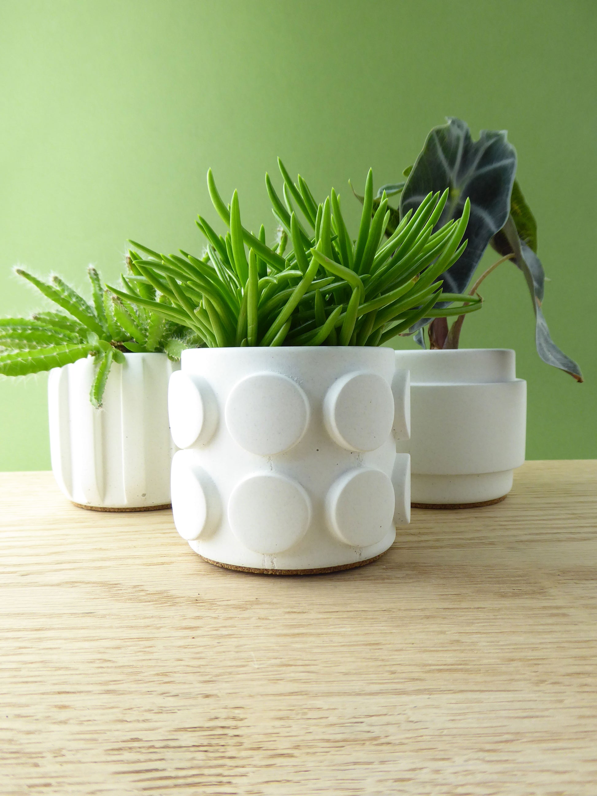 White polka dot plant pot and 2 geometric planters with green plants on a wood shelf.