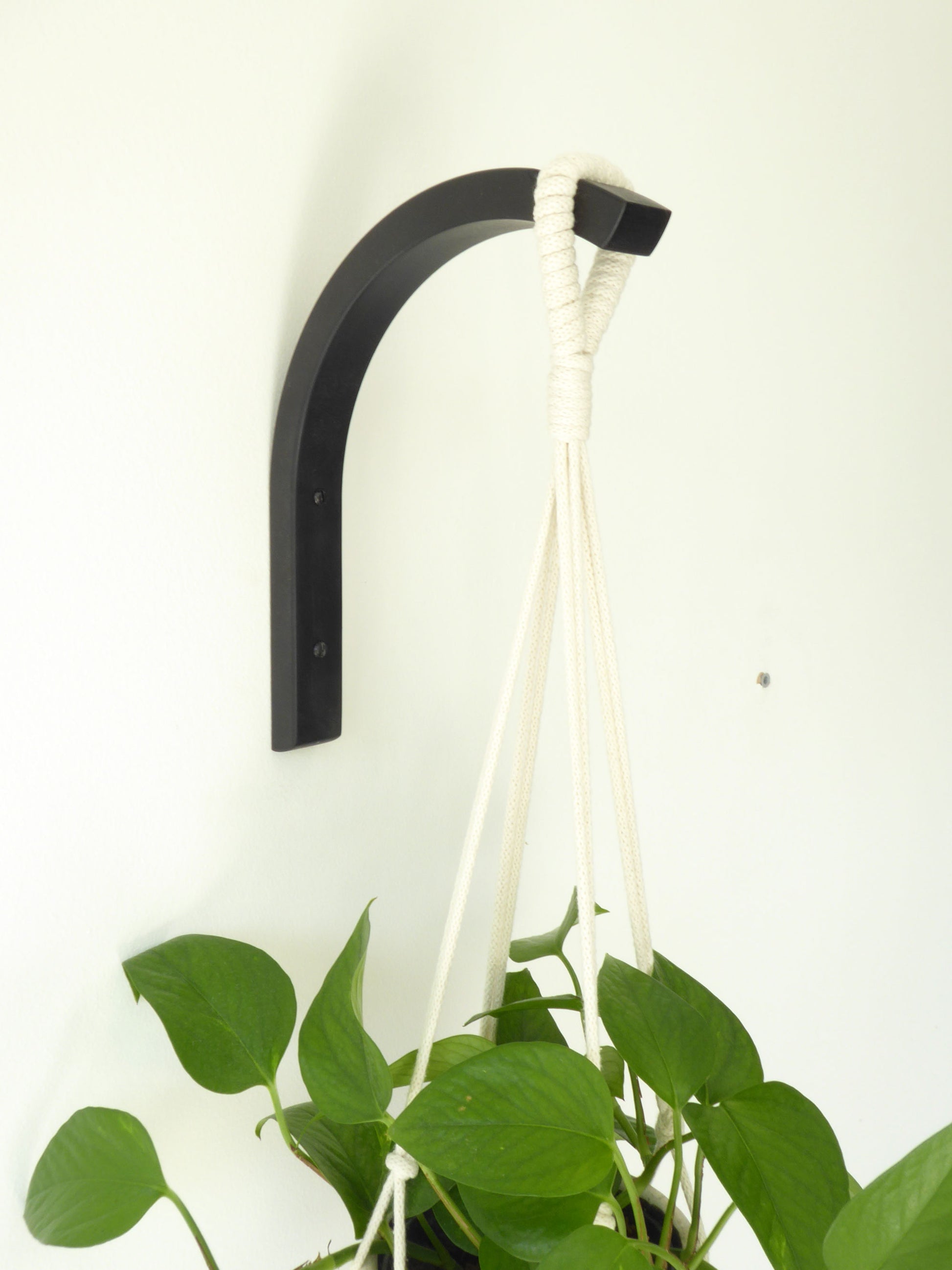 Black minimalist wooden bracket mounted to a wall supporting a macrame plant hanger and a houseplant