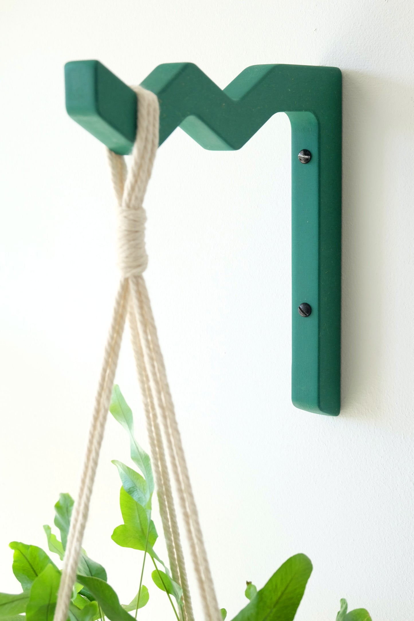 how to display houseplants on the wall