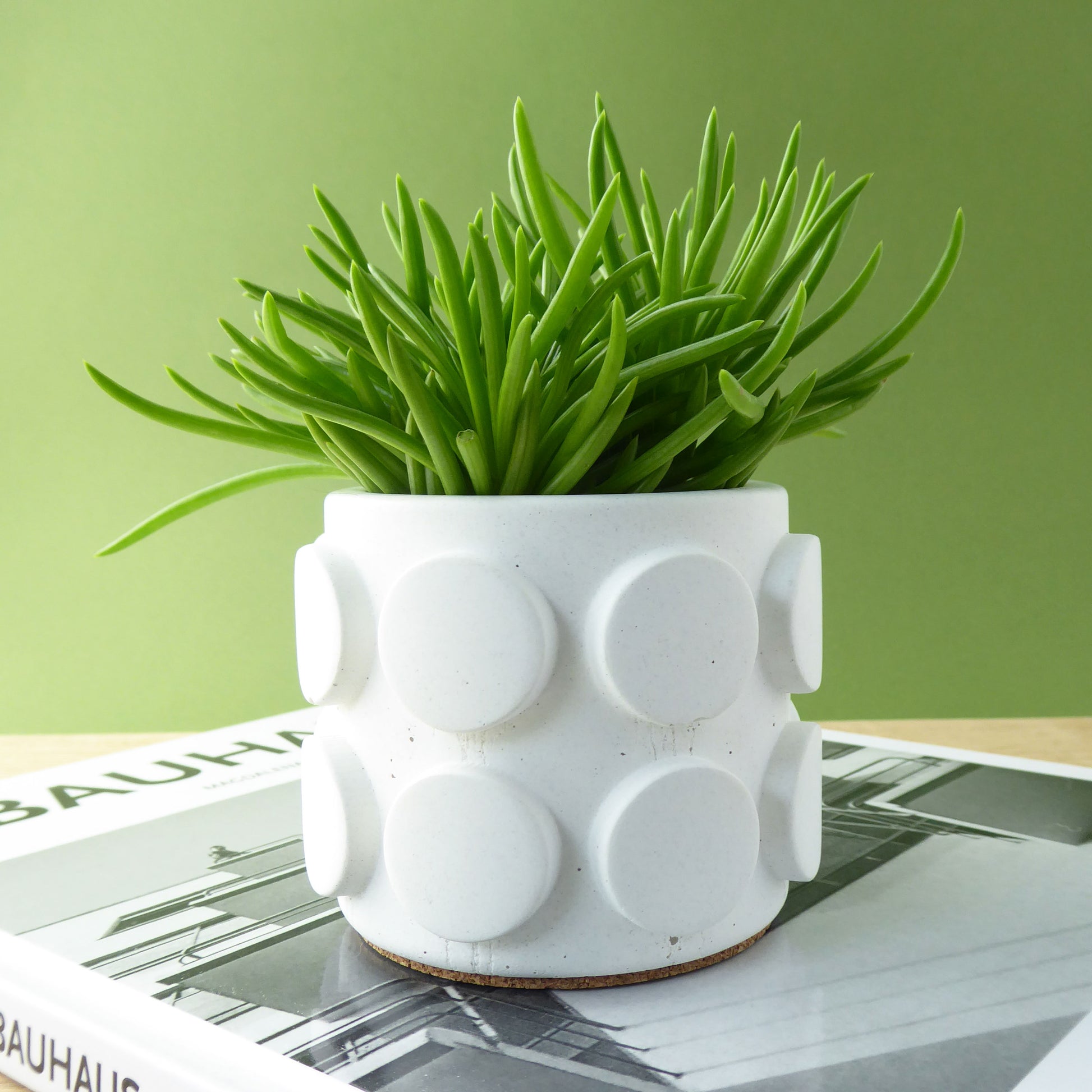 White ceramic planter with a unique polka dot design with a spiky succulent plant sitting on a magazine on a wooden shelf