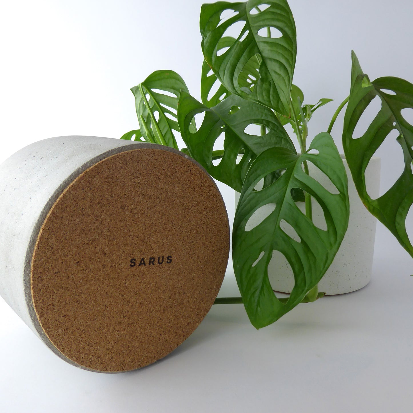 Concrete plant pots with a cork base with a SARUS stamped logo to protect surfaces.