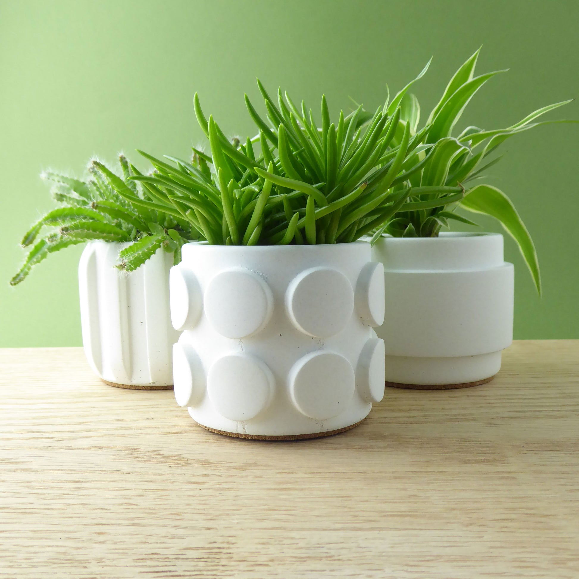 Three white textured planters with succulents and cacti on a wooden table.