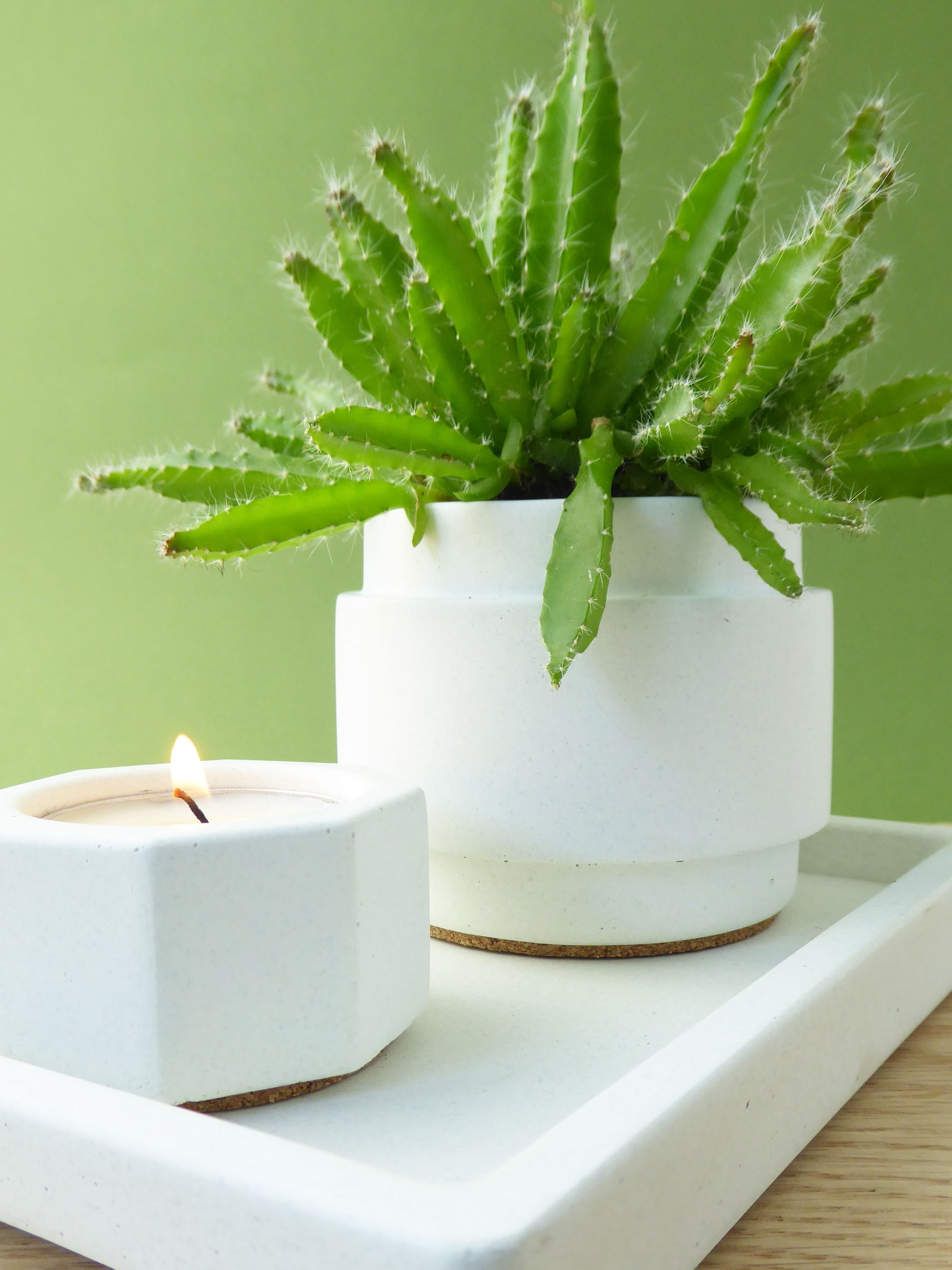 White ceramic planter with a green succulent next to a white concrete candle holder on a white rectangular decorative tray.