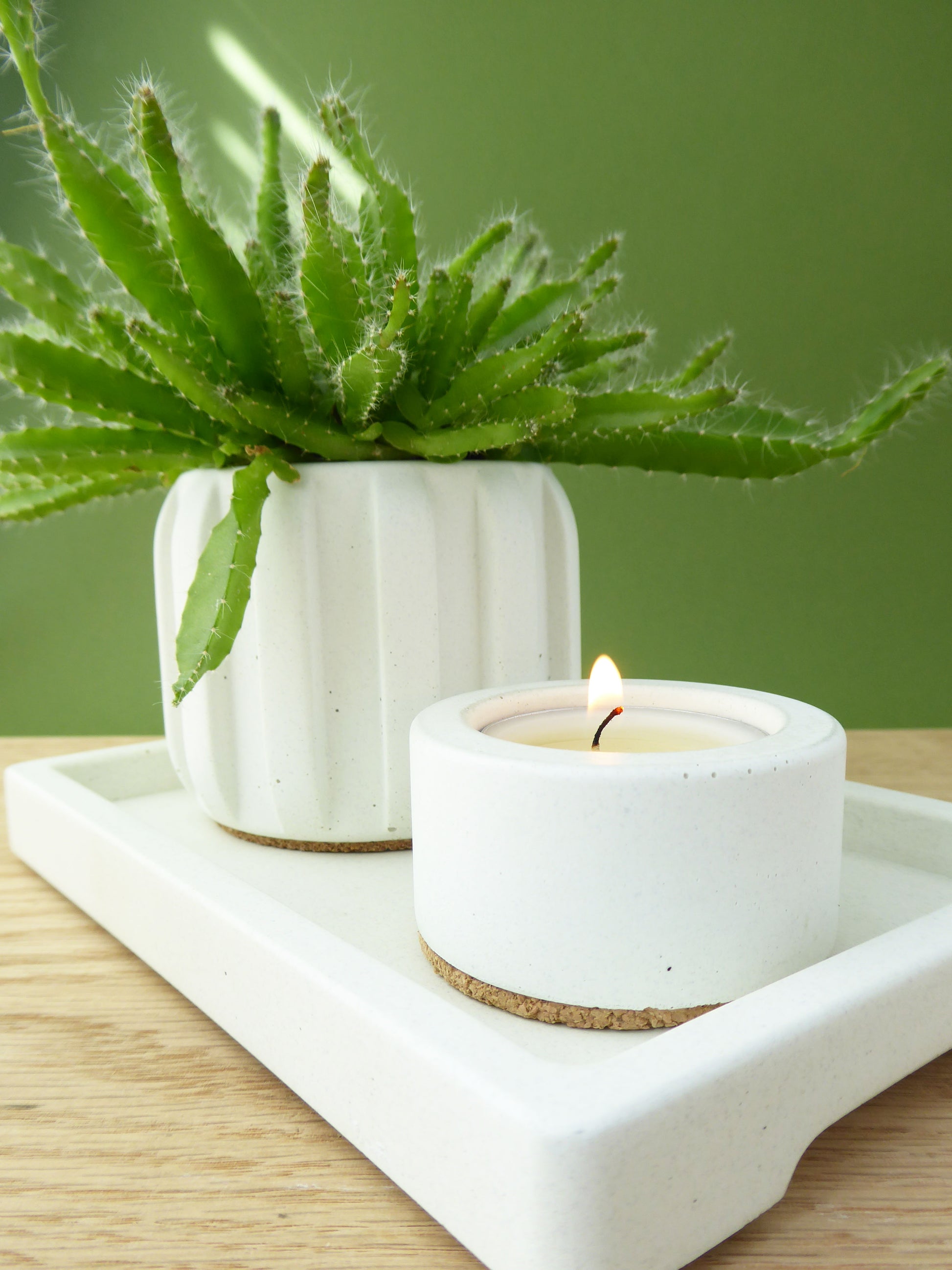 White concrete candle holder and houseplant in a white concrete plant plant sitting on a white catchall tray with a green background.