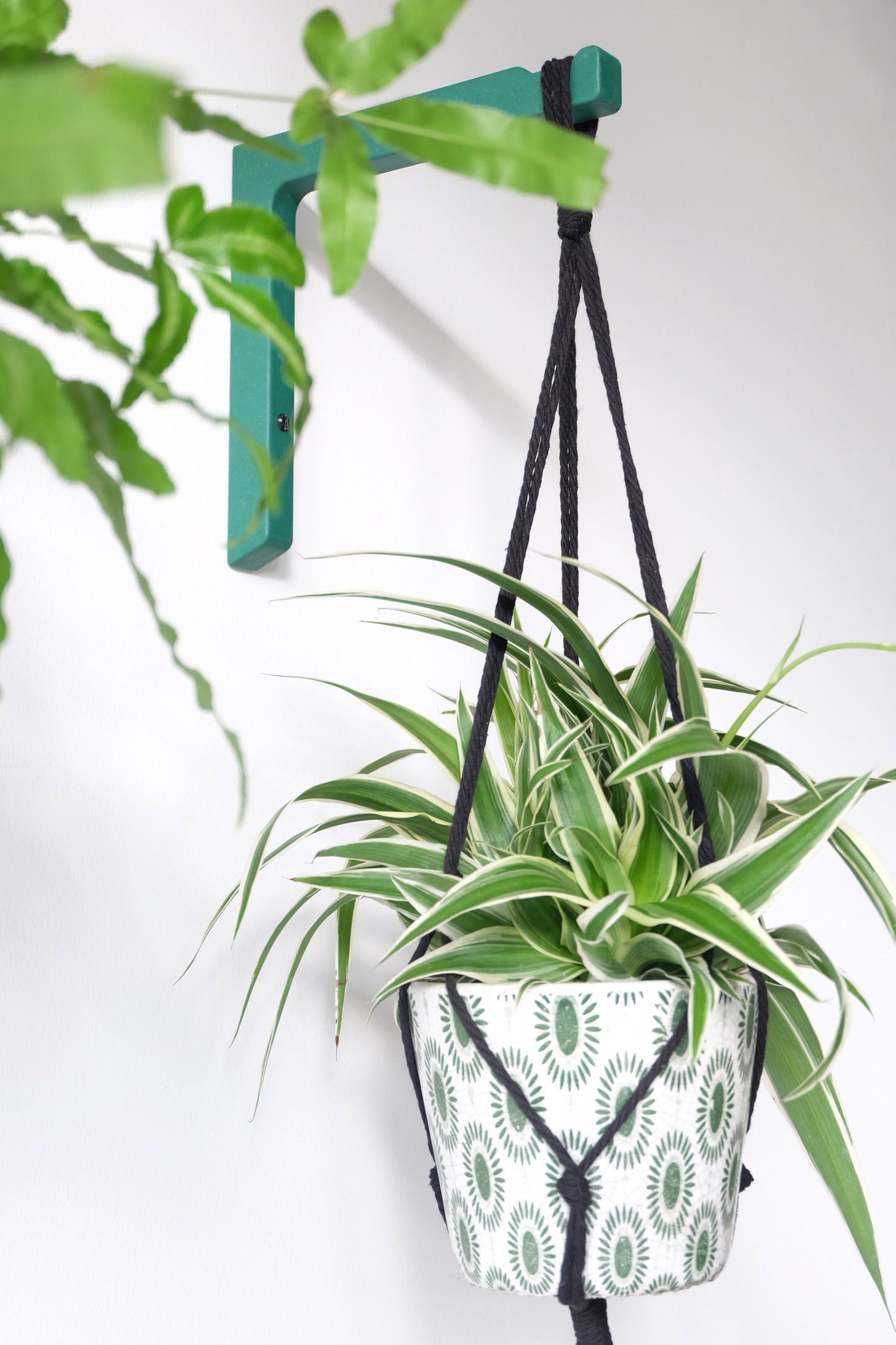 fake plant wall hanger