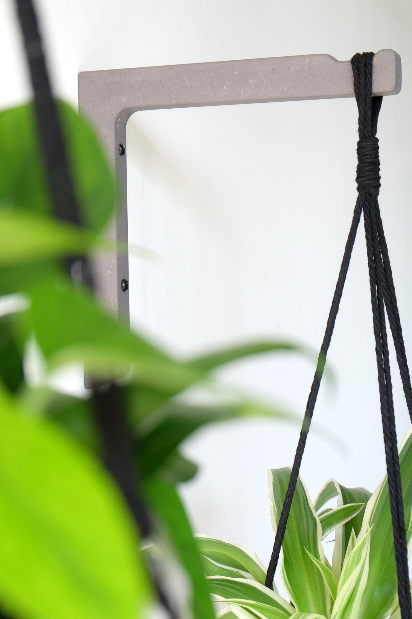 A wooden wall mounted plant hook in grey wood installed on a white wall with a plant hanging from it.