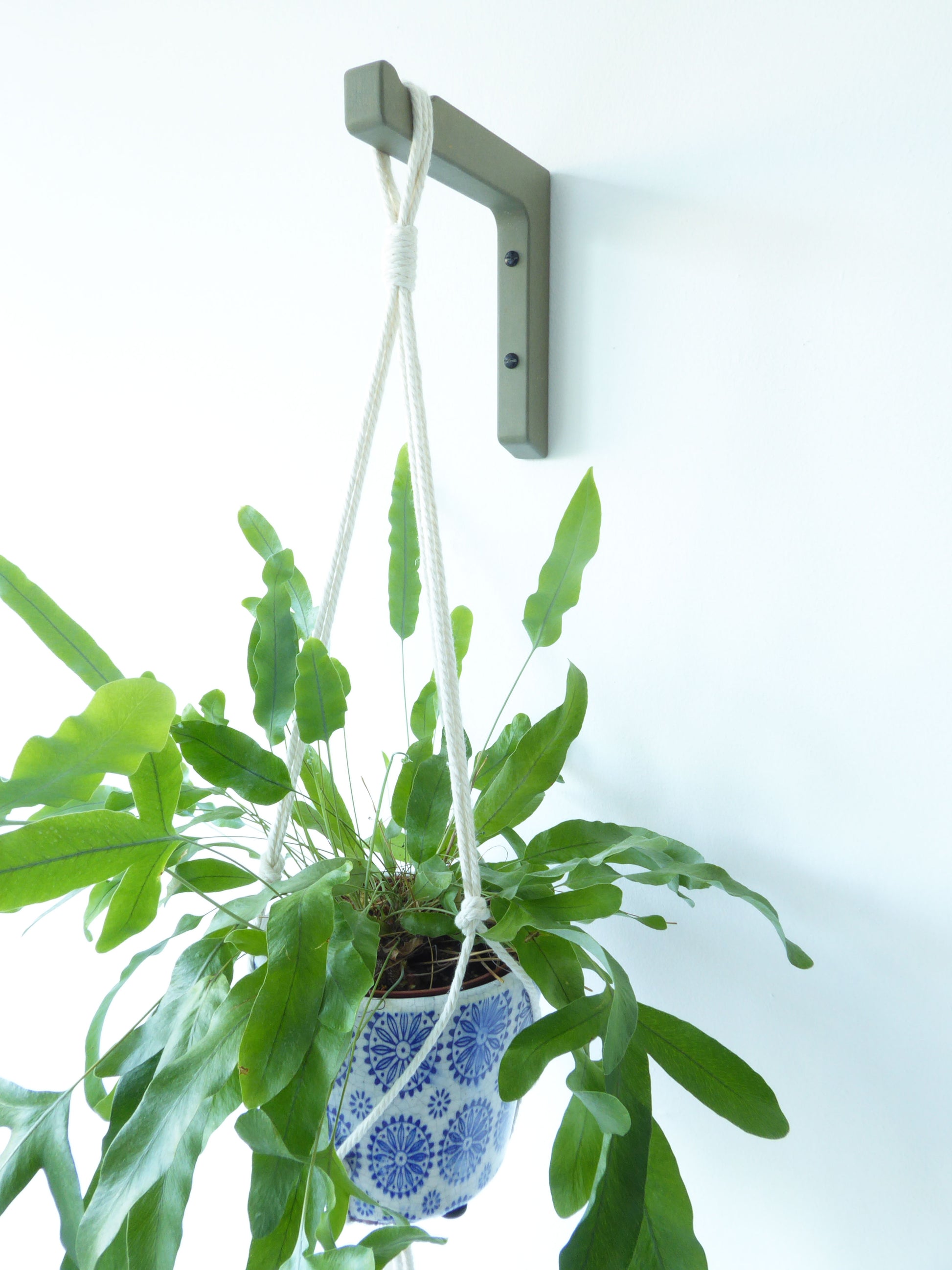 A wooden plant hook in a neutral sage colour mounted on a white wall with a trailing plant hanging from it.
