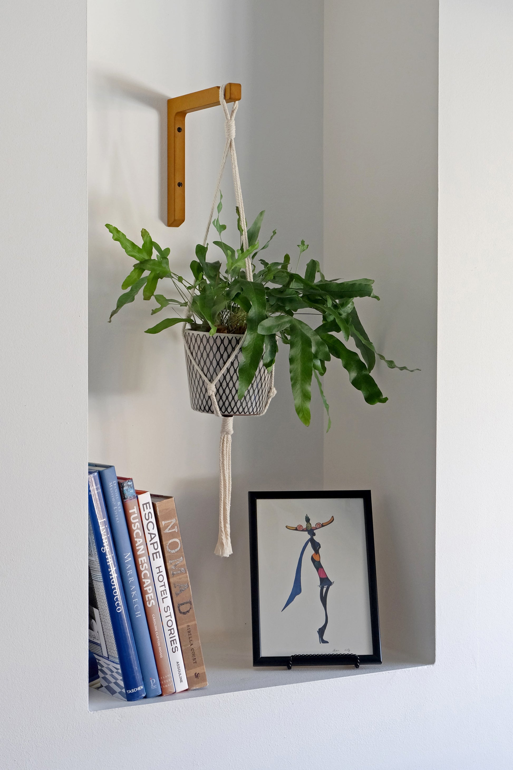 Colourful wooden plant hook, macrame hanger and houseplant hanging in an alcove with interior books in the background