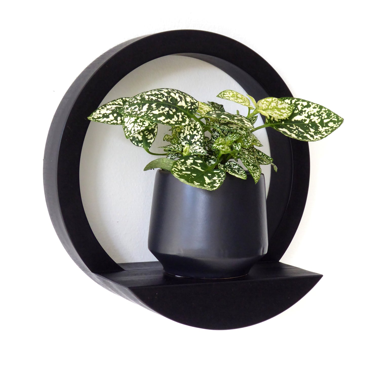 Wall mounted shelf in black wood with a black plant pot and houseplant
