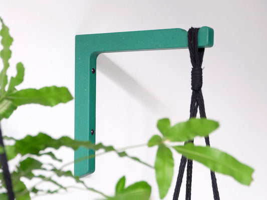 5 creative ways to display houseplants Indoors: make your place a green dream!